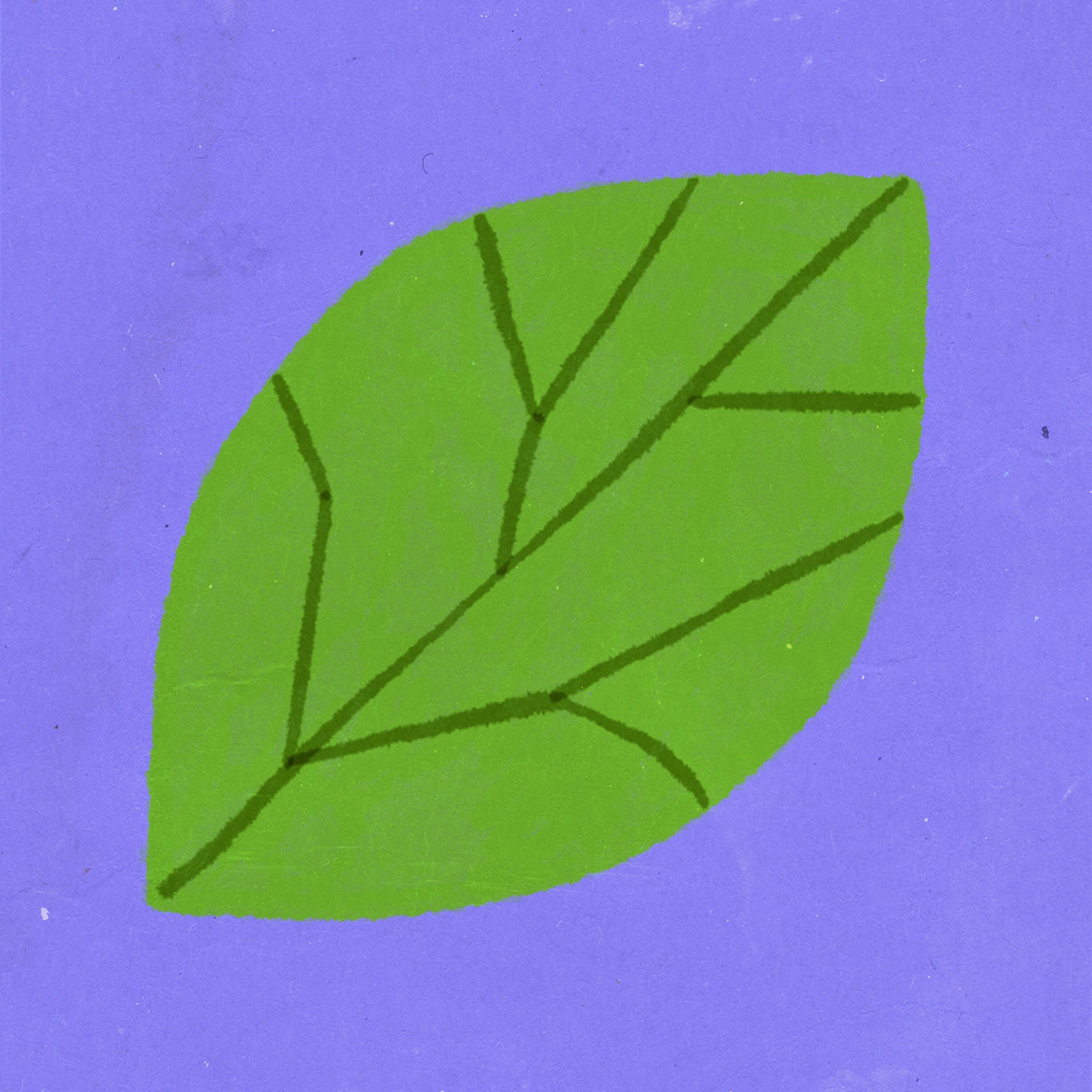 Релиз Rutebeuf