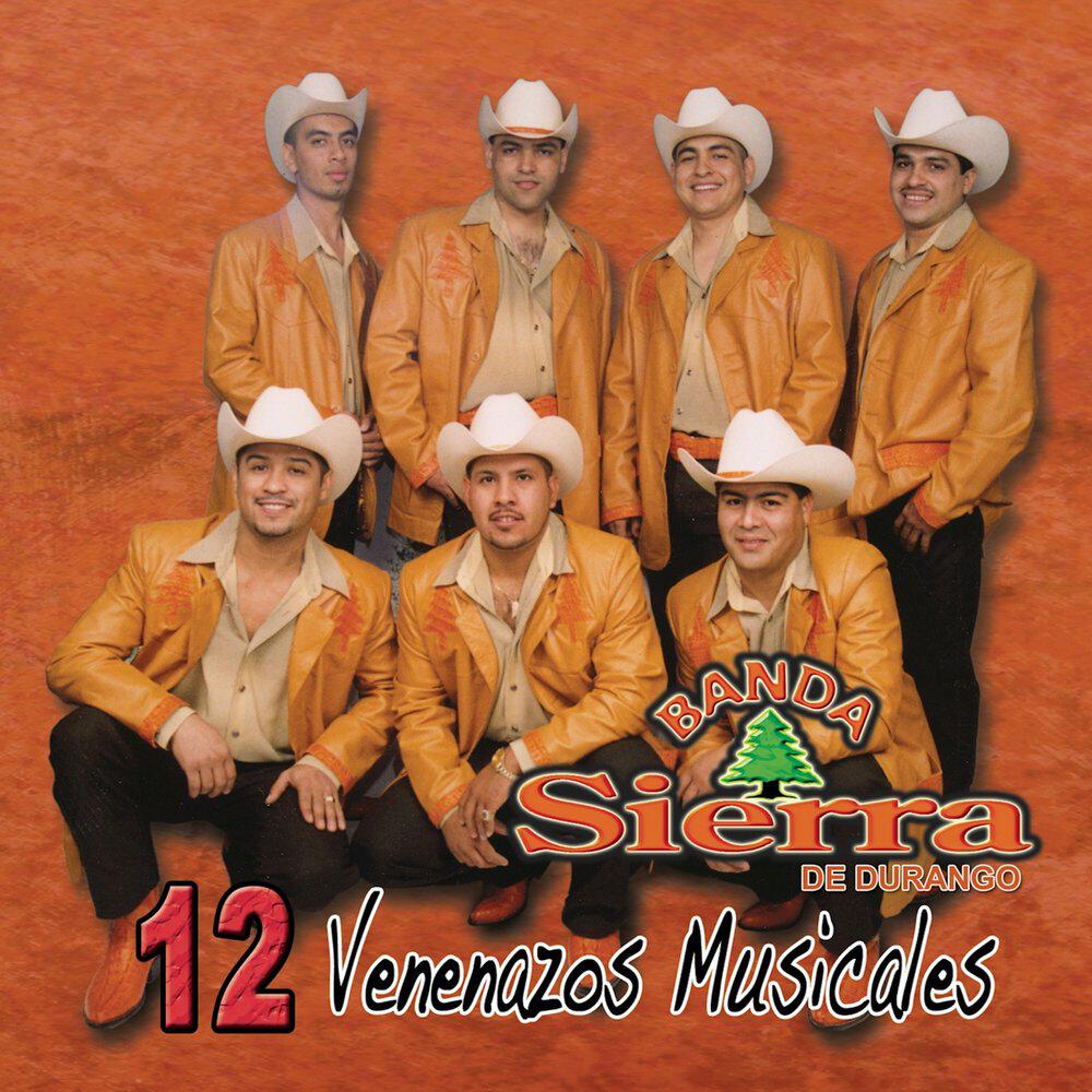 Релиз 12 Venenazos Musicales