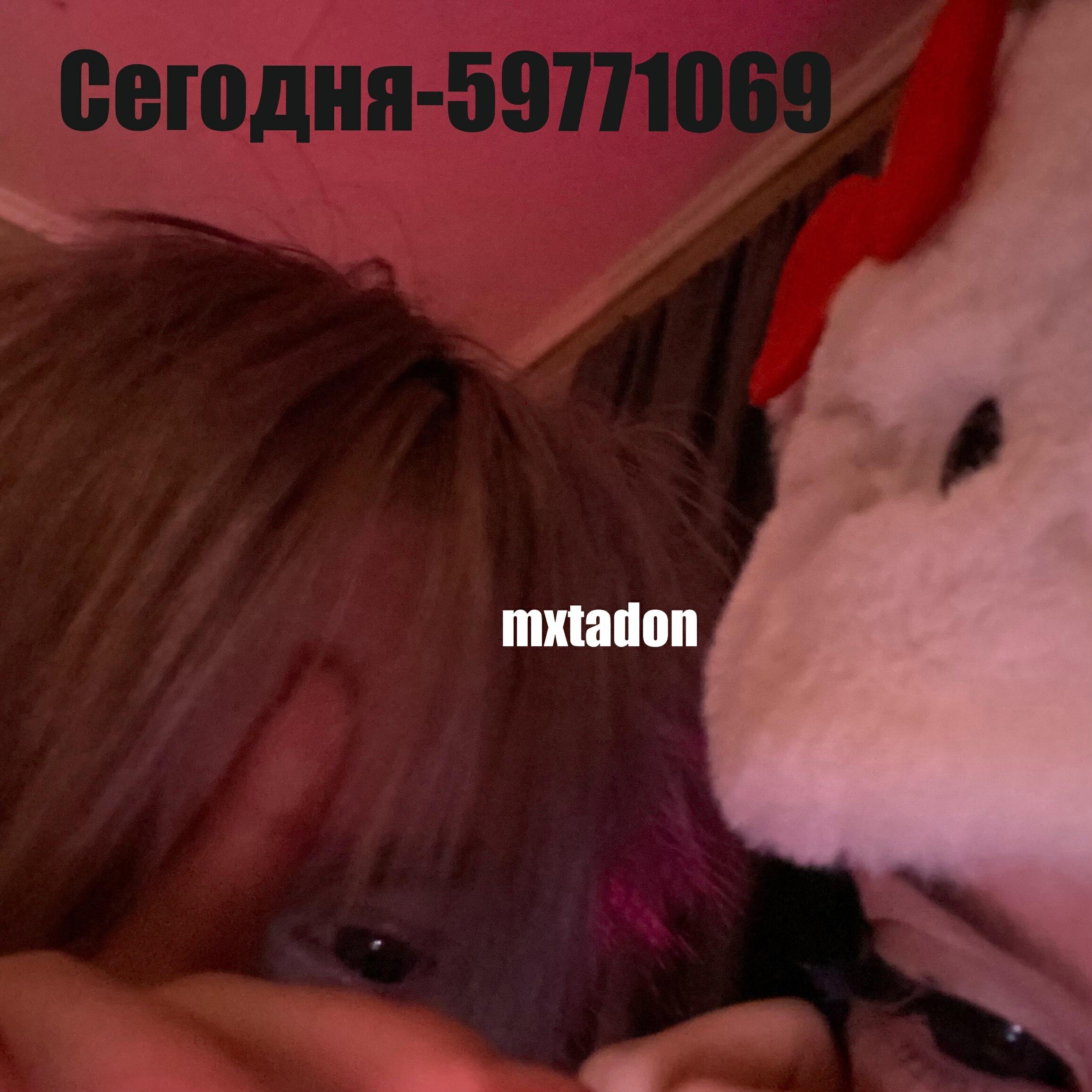 Релиз Сегодня-59771069