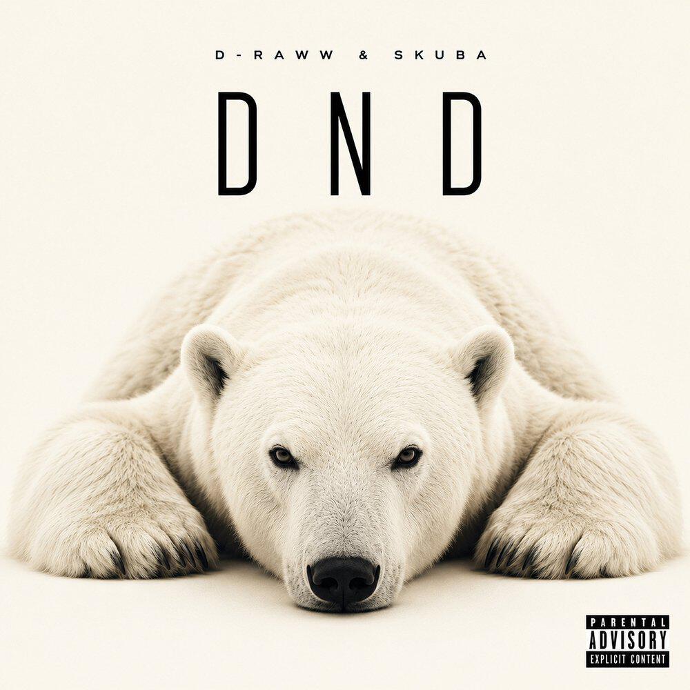 Релиз D.n.D