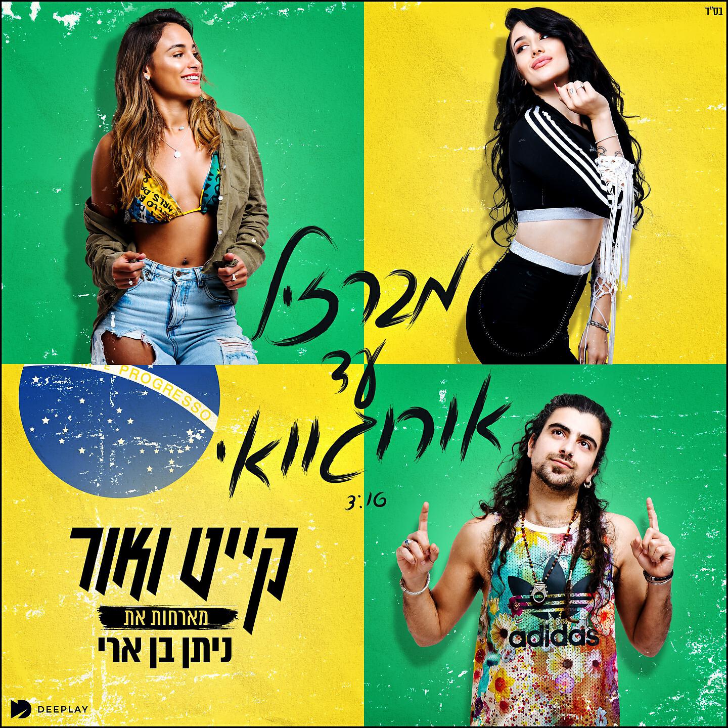 ניתן בן ארי