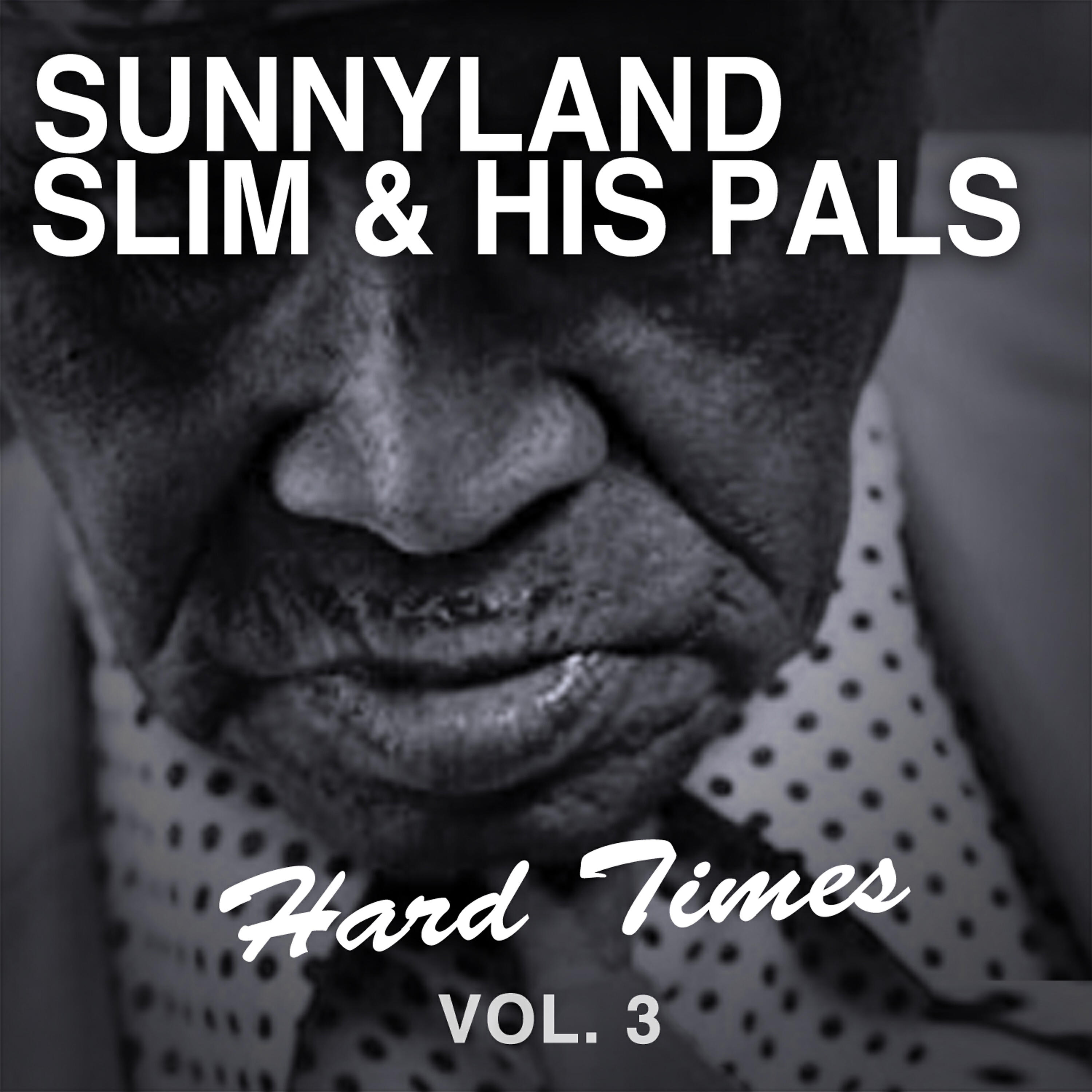 Релиз Hard Times, Vol. 3