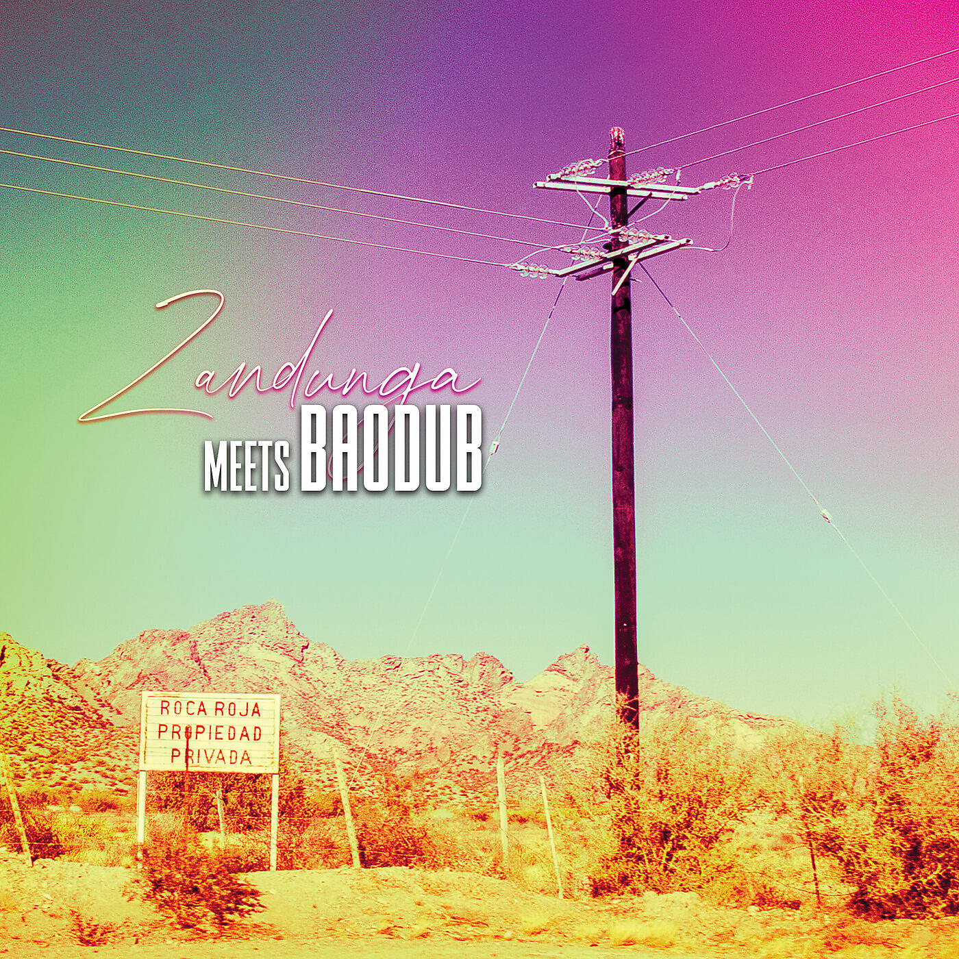 Релиз Zandunga Meets Baodub - EP