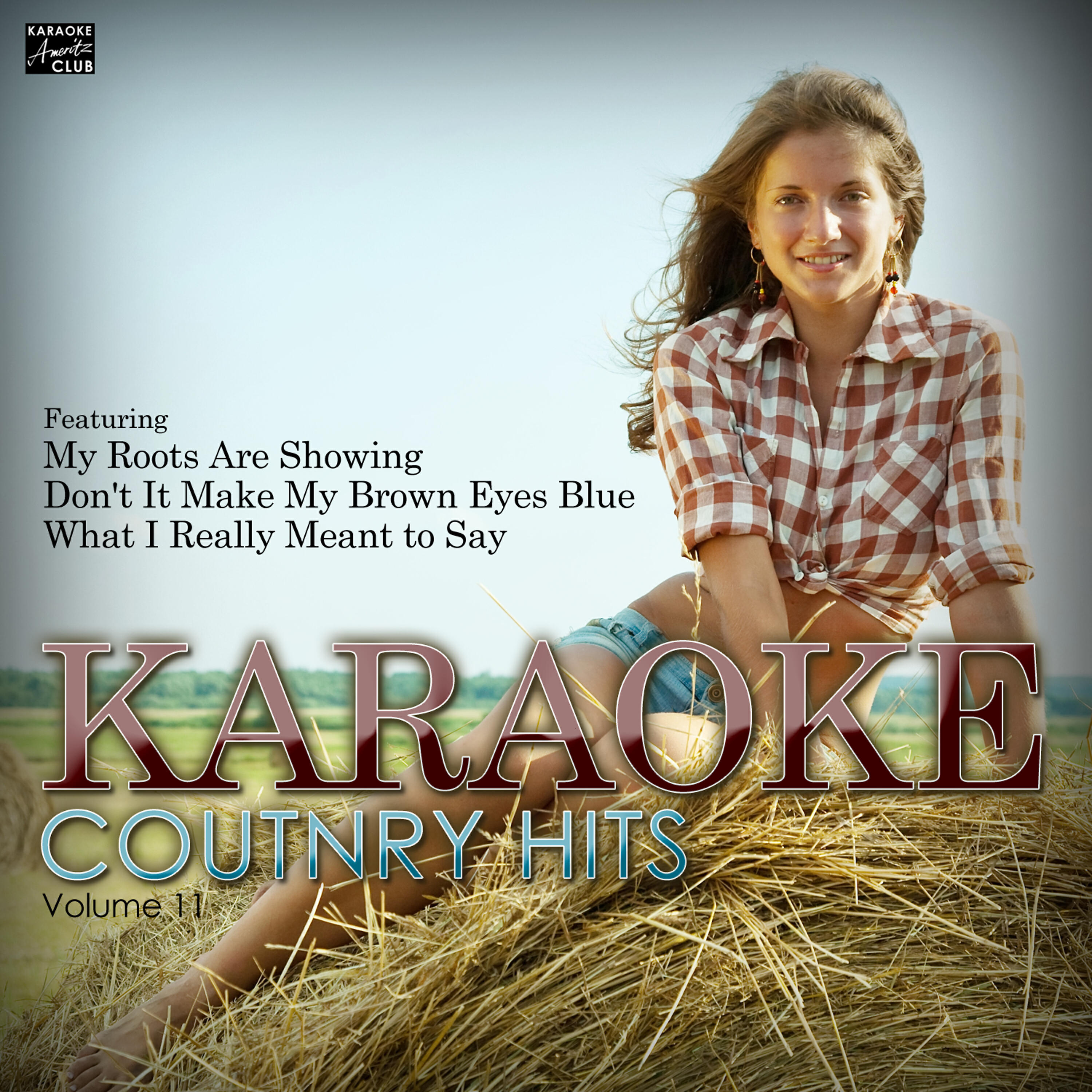 Постер альбома Karaoke Country Hits Vol. 11