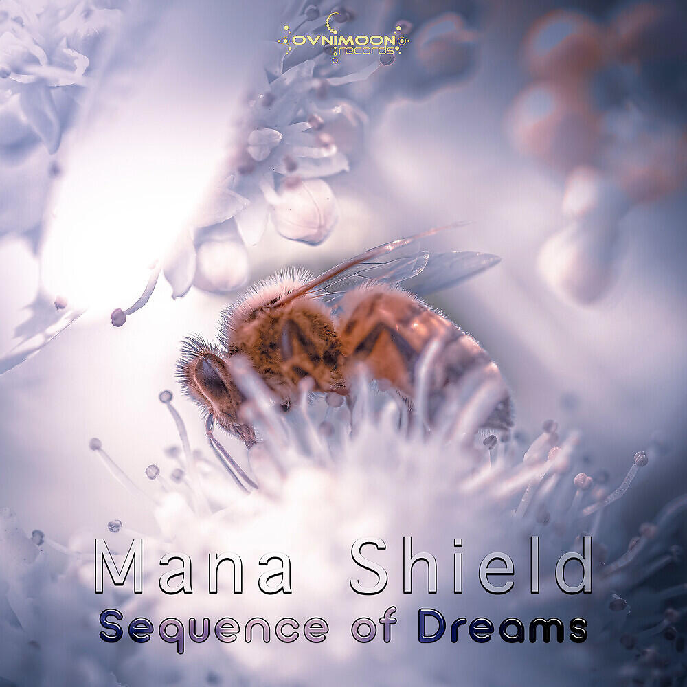 Релиз Sequence Of Dreams
