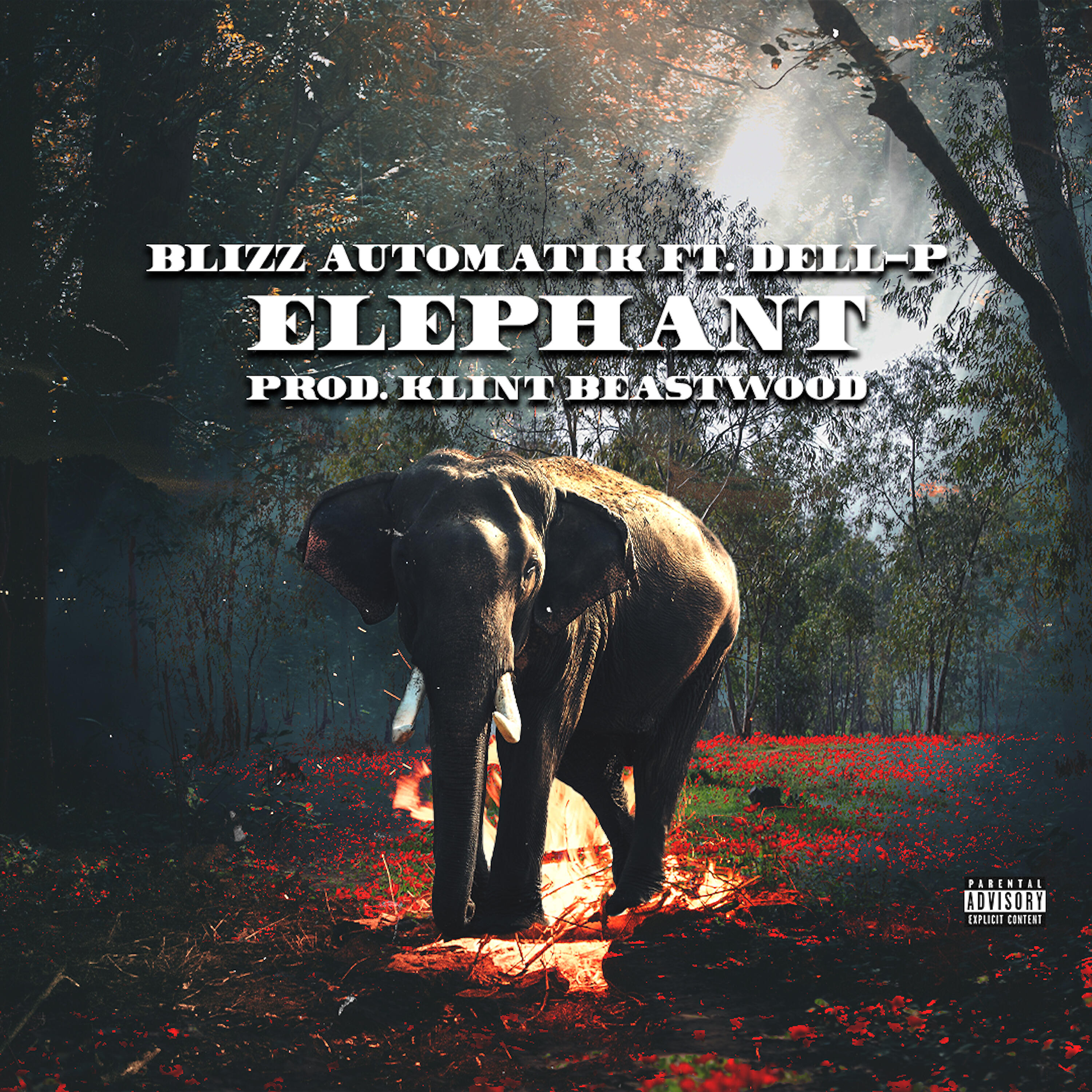 Релиз Elephant
