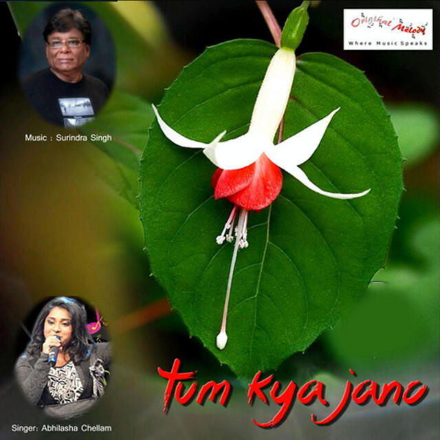 Релиз Tum Kya Jaano