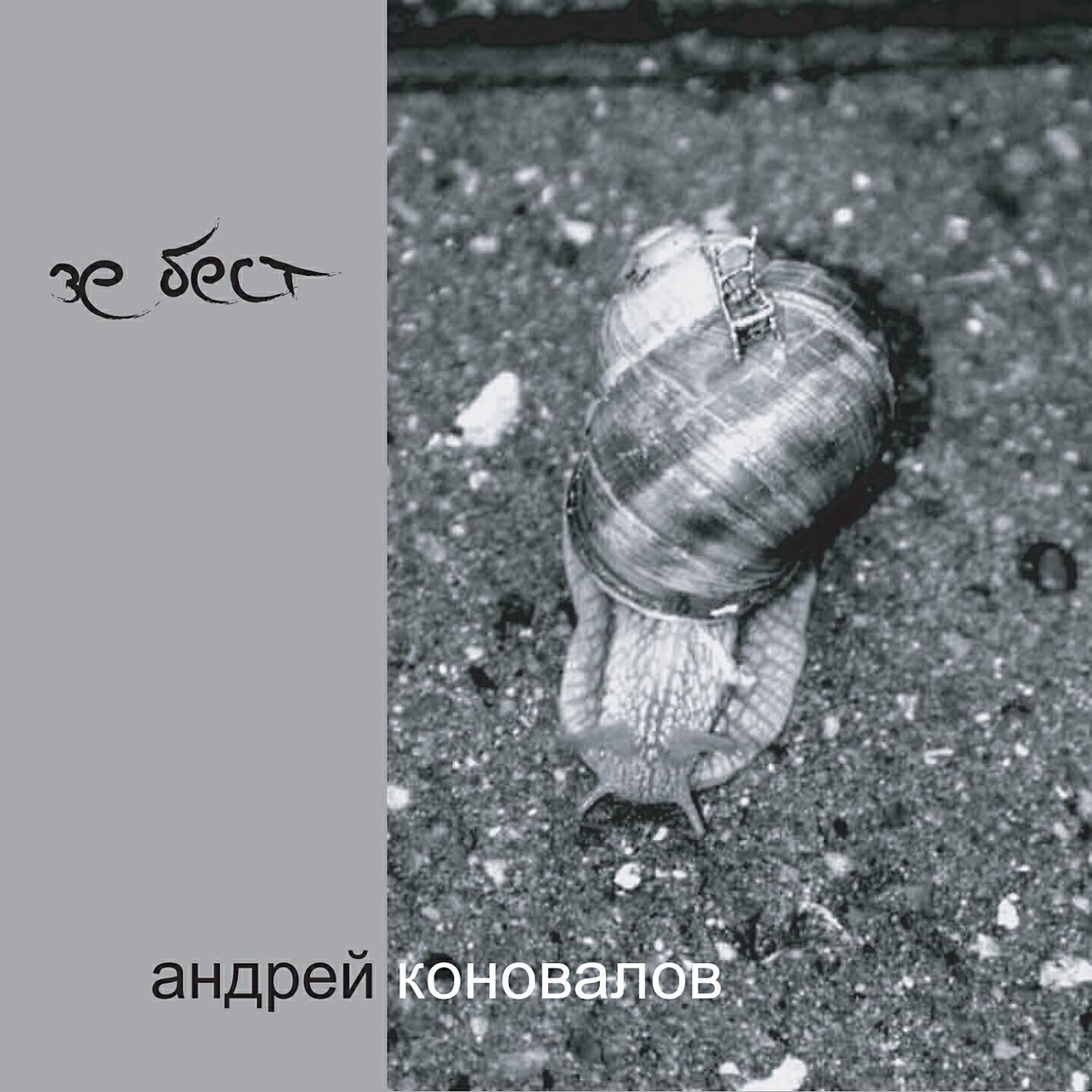 Андрей Коновалов