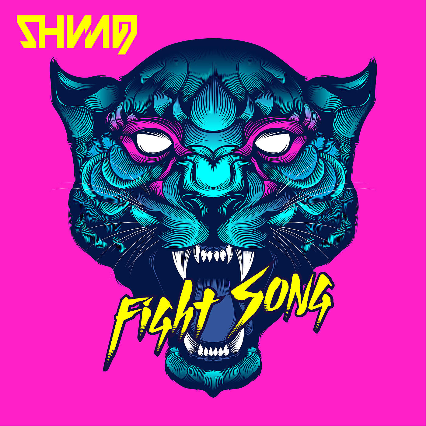 Релиз Fight Song