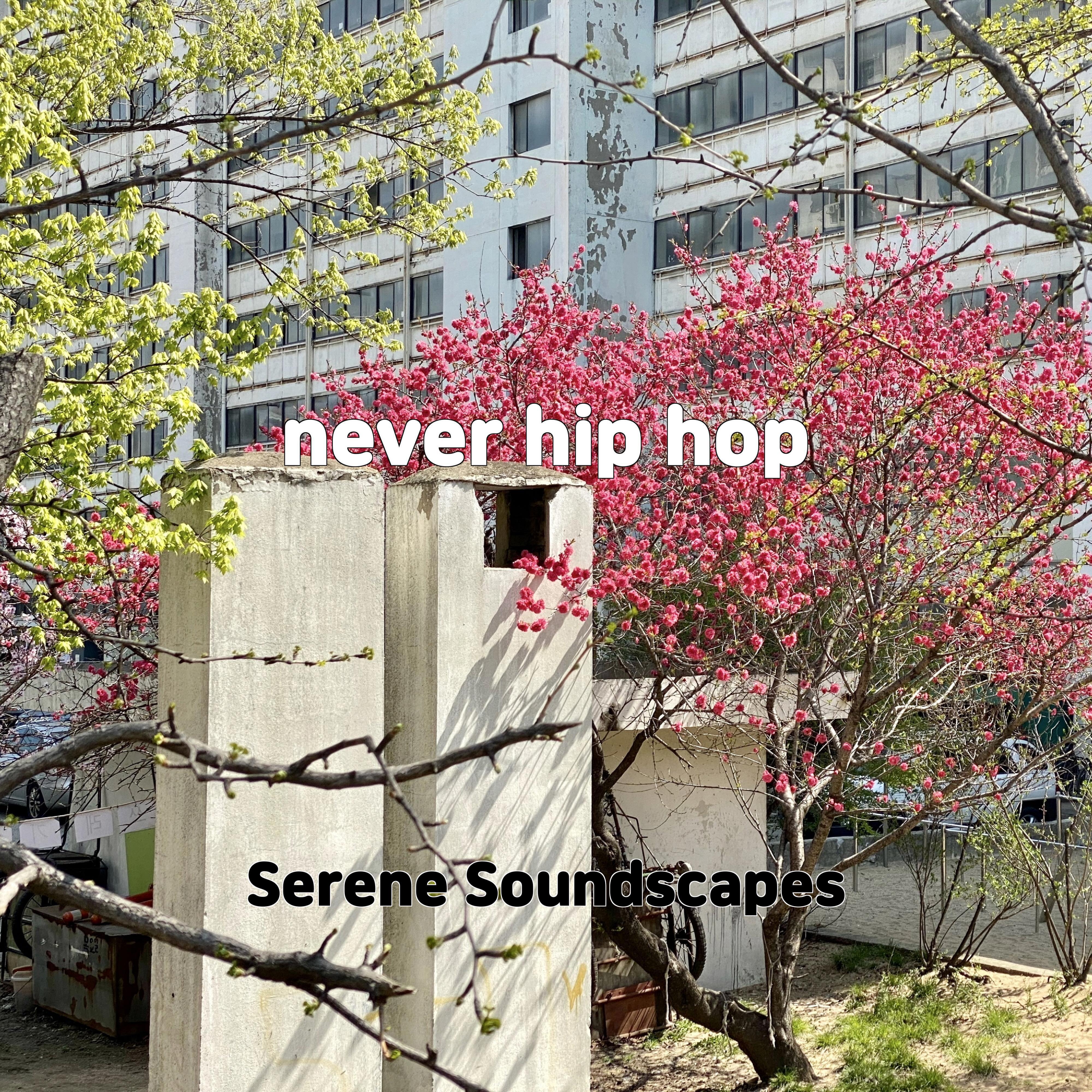 Релиз never hip hop