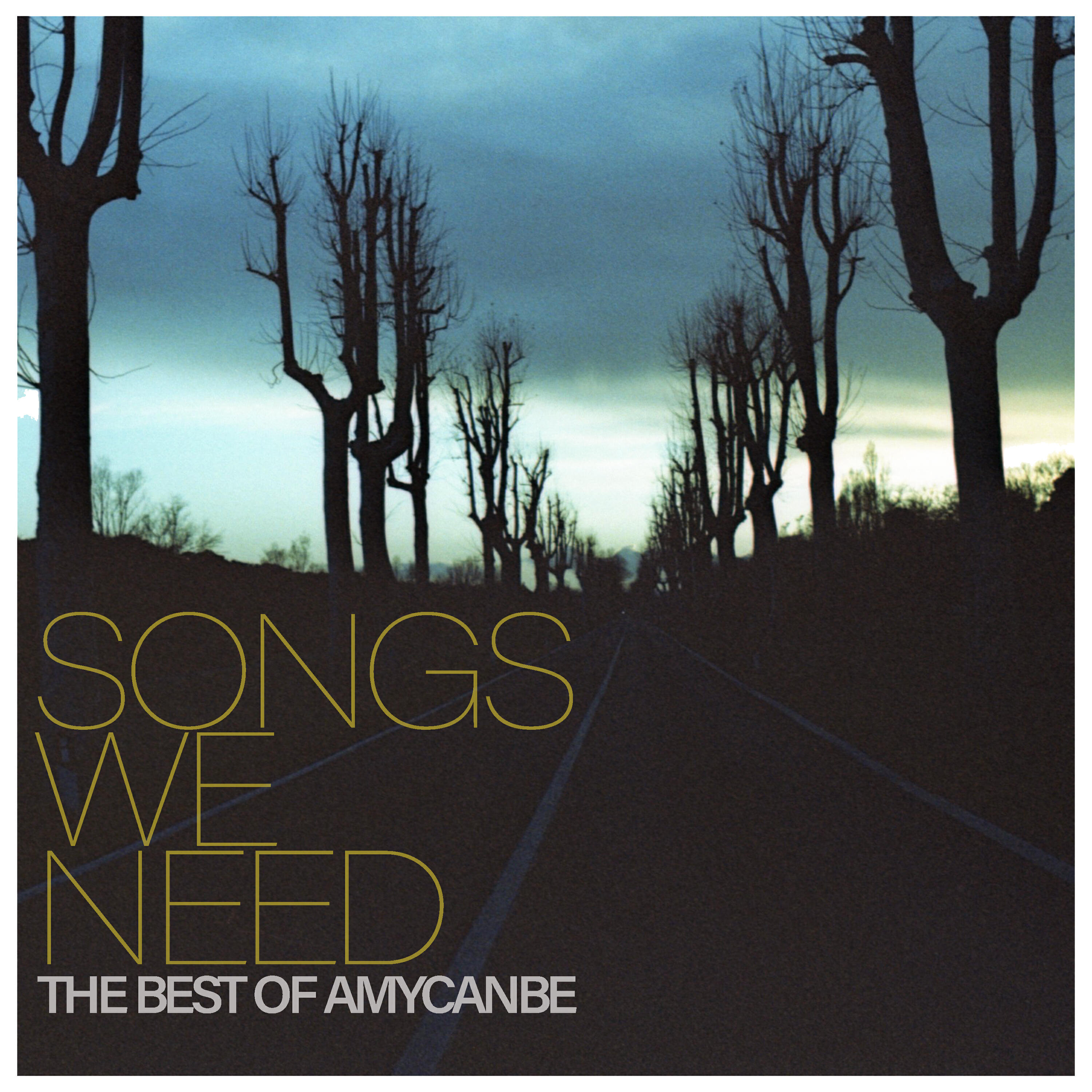 Релиз Songs We Need: The Best Of Amycanbe