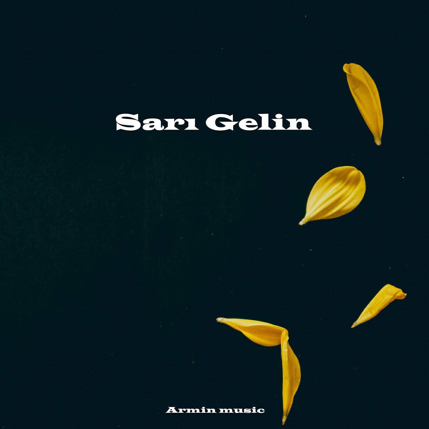 Постер альбома Sarı Gelin