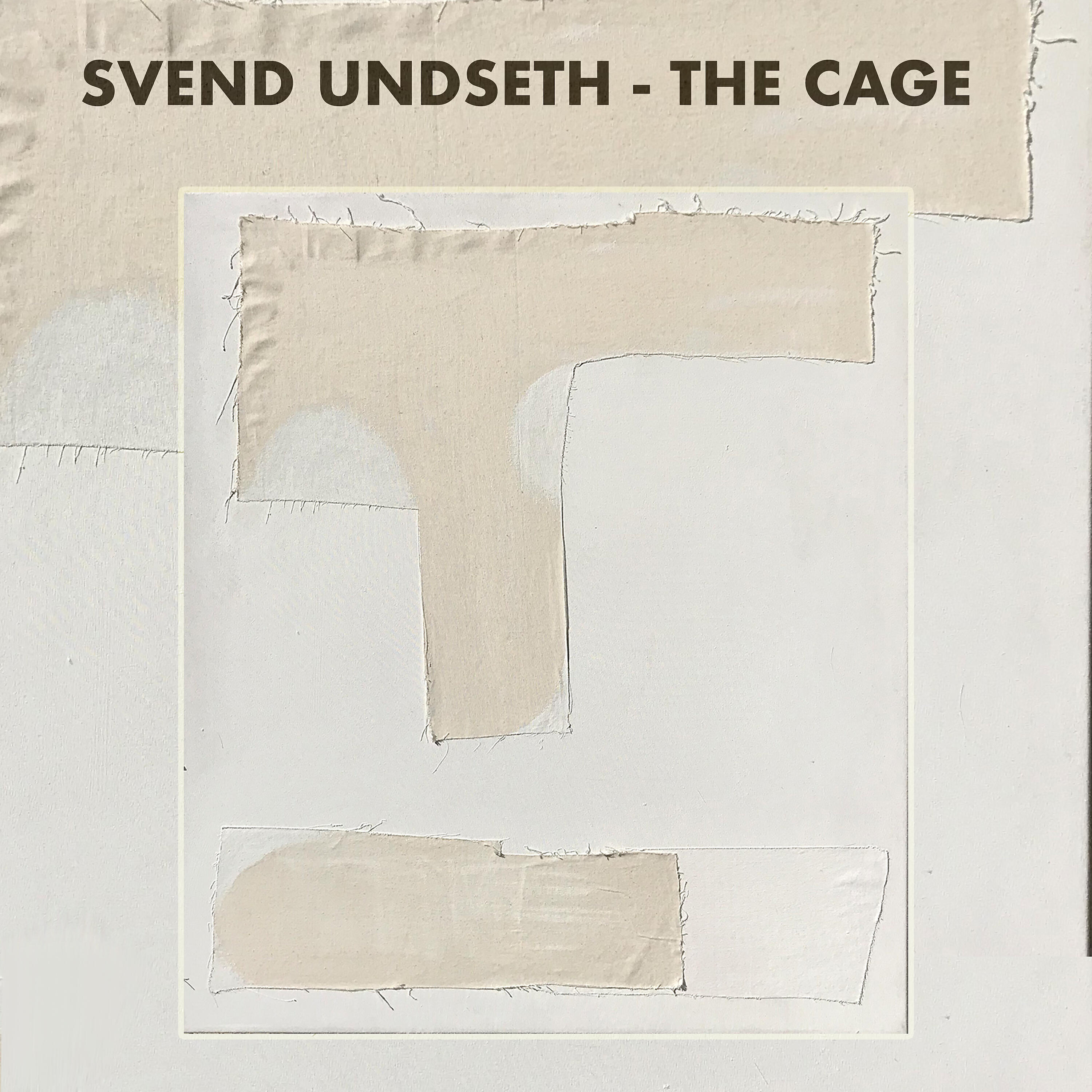 Релиз The Cage