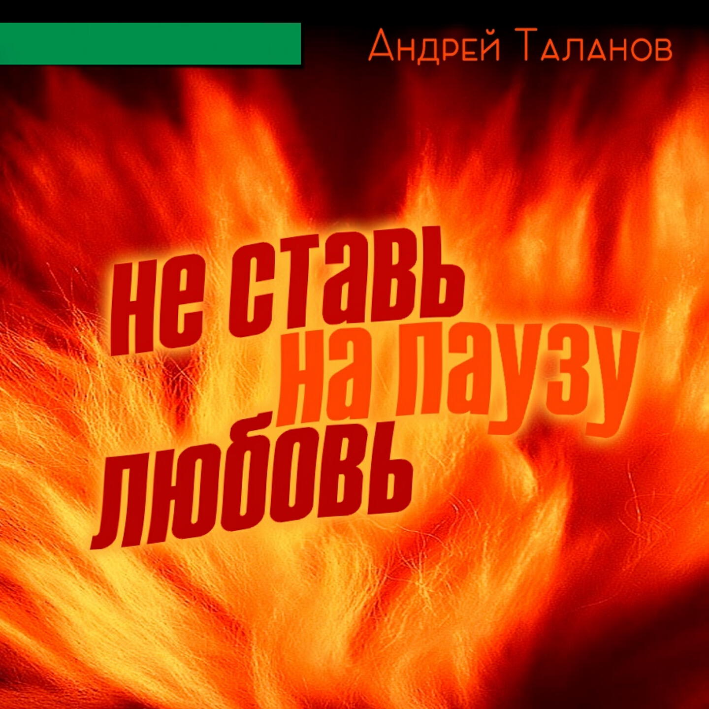 Постер альбома Не ставь на паузу любовь