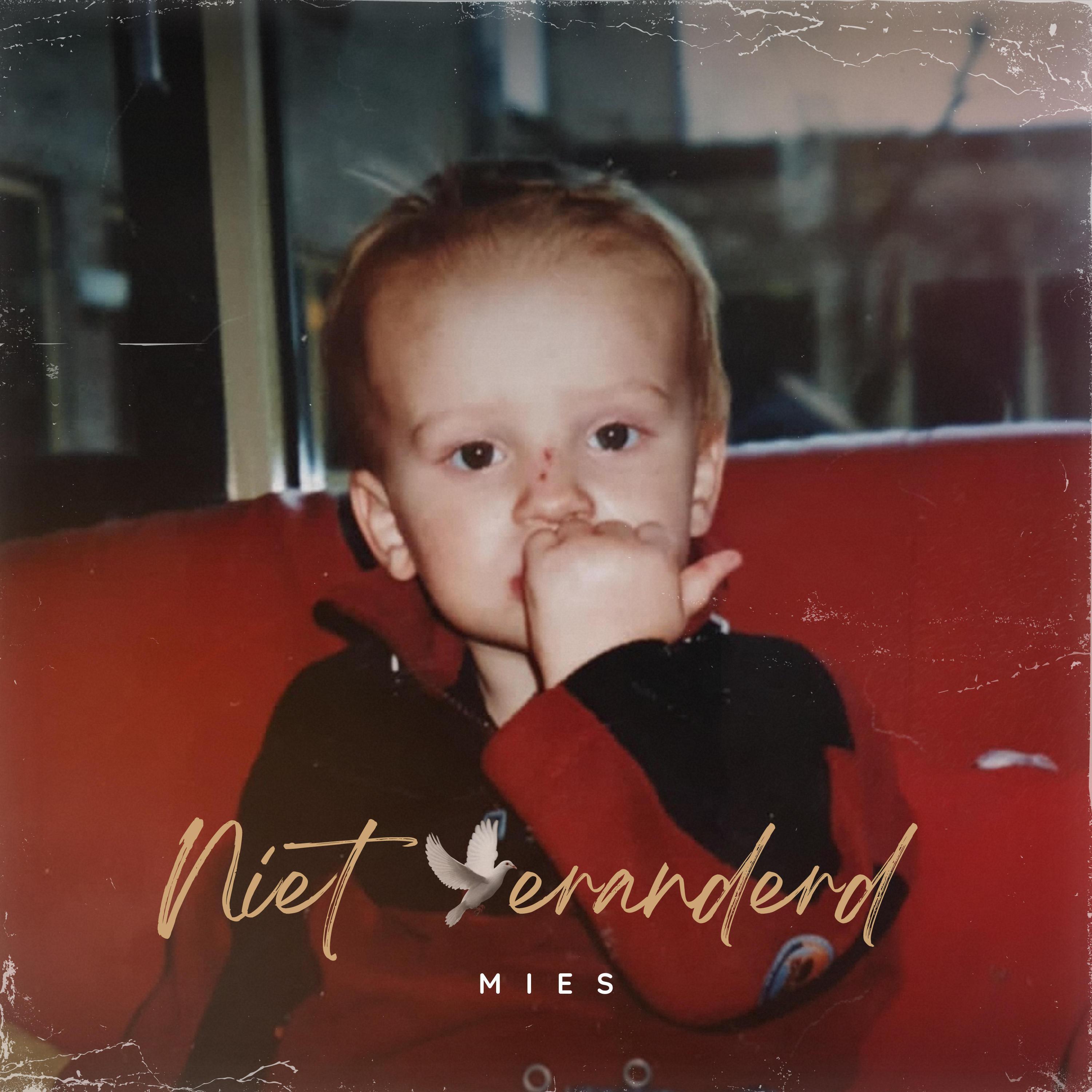 Релиз Niet veranderd