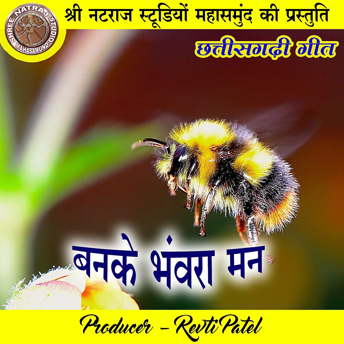 Релиз Banke Bhawra Man
