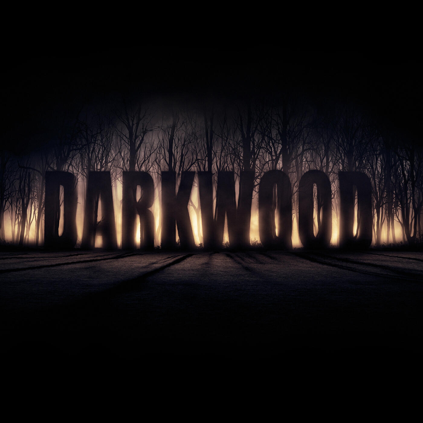 Постер альбома Darkwood (Original Game Soundtrack)