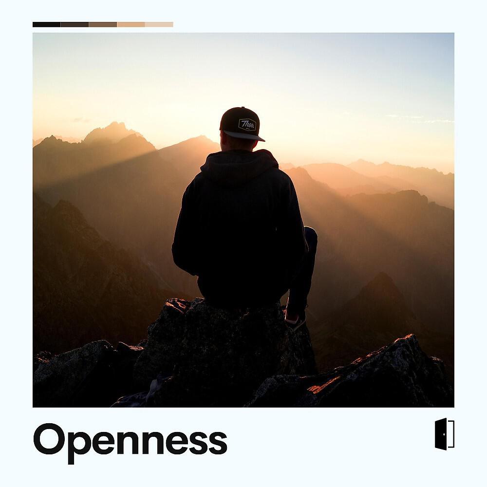 Релиз Openness
