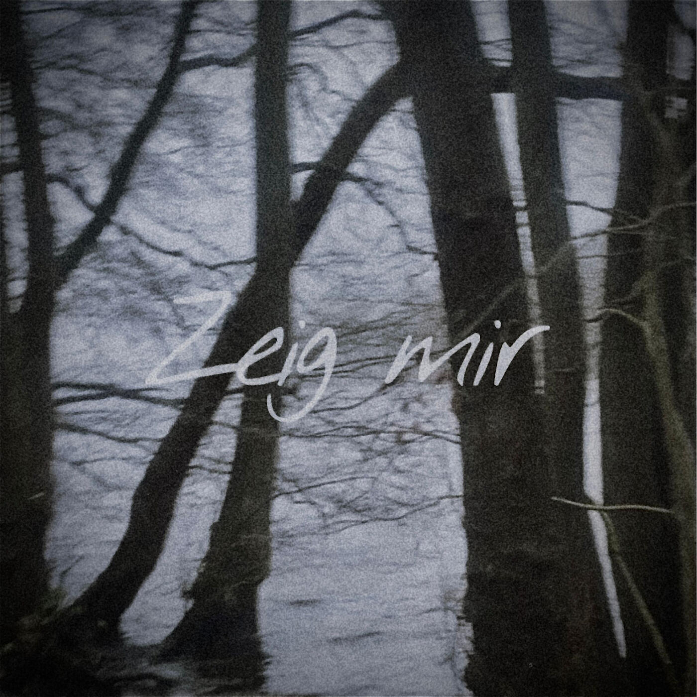 Релиз Zeig Mir