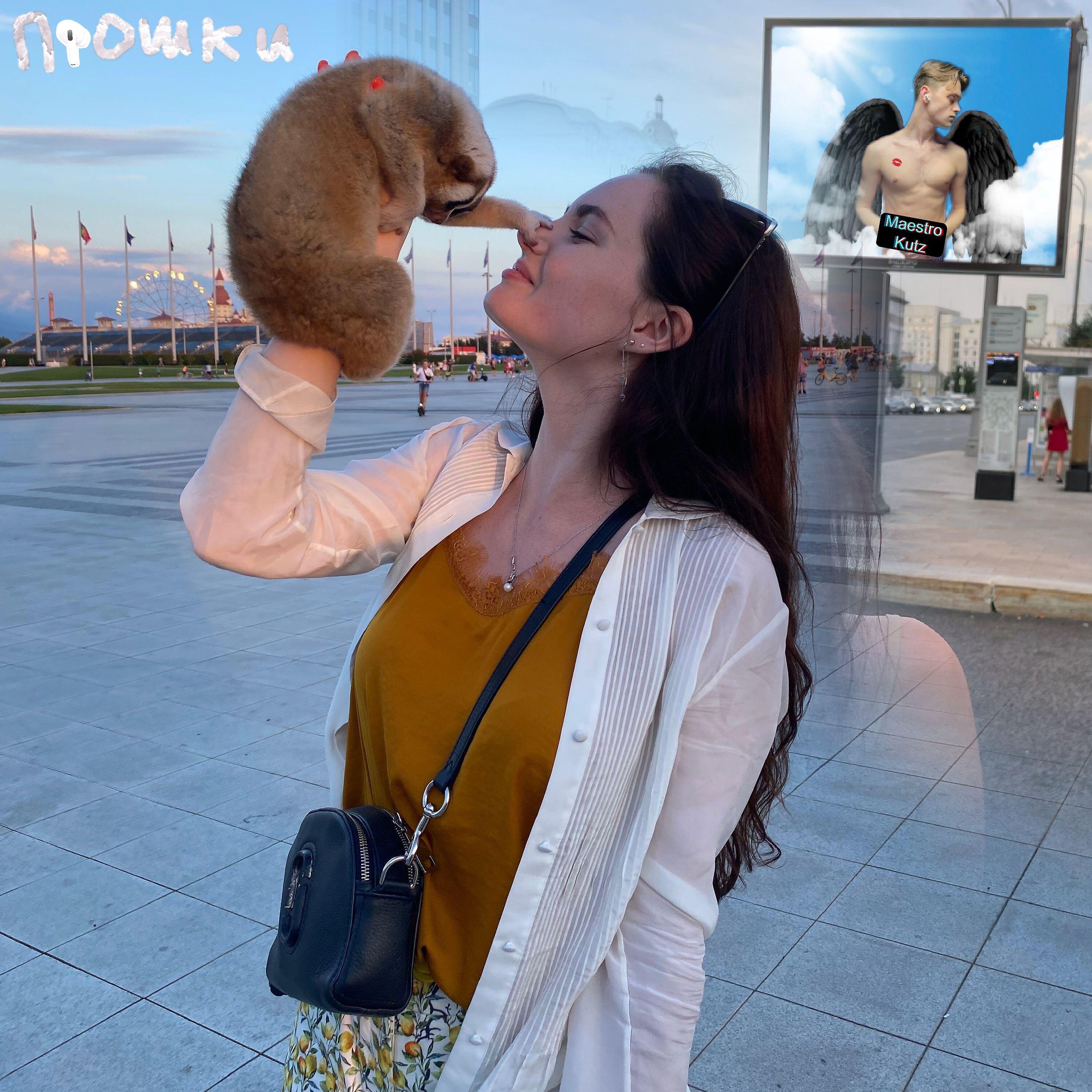 Релиз Прошки