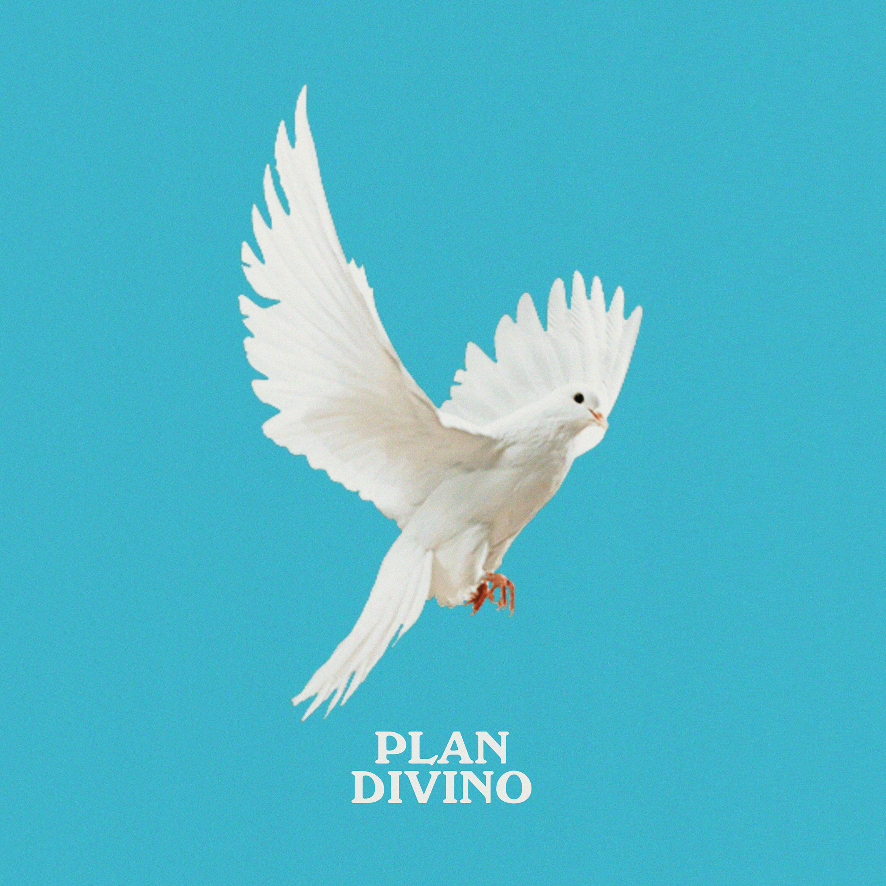 Релиз Plan Divino