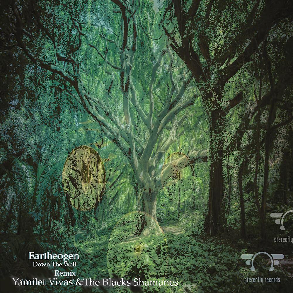 Релиз Down The Well Remixe