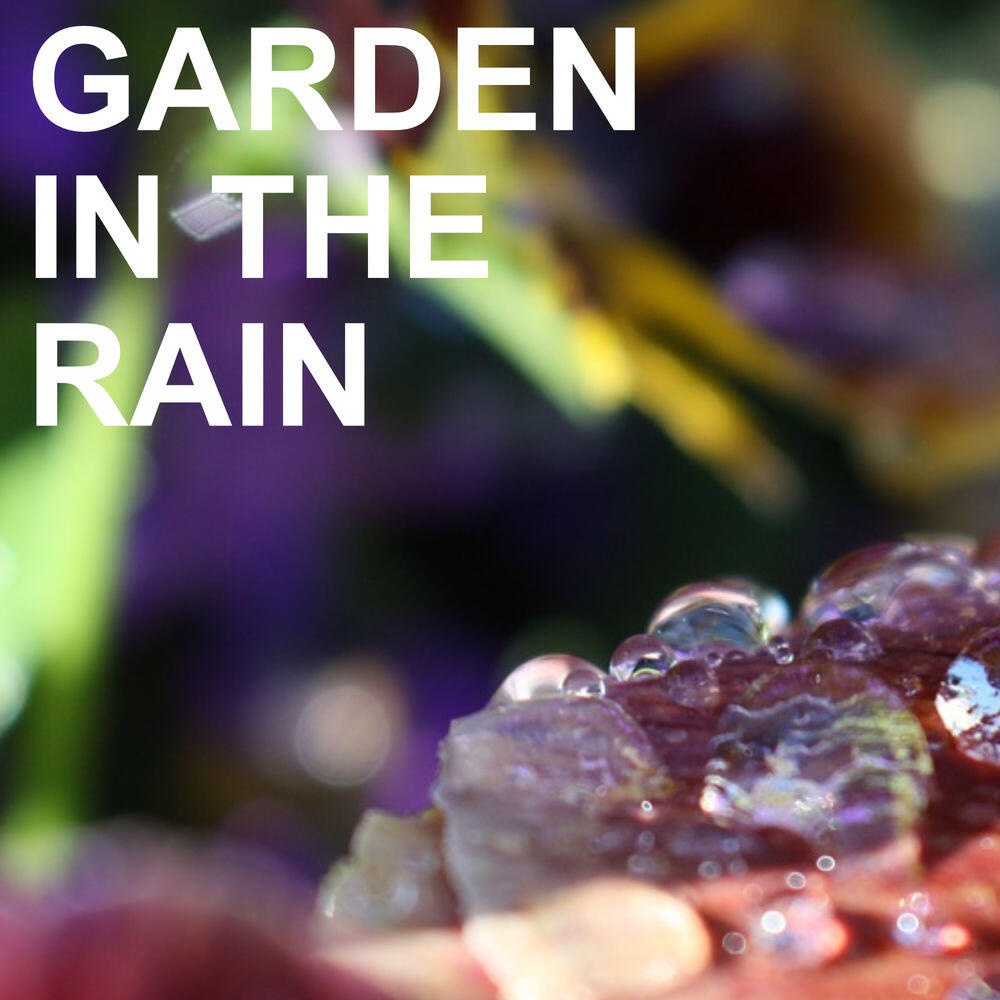 Релиз Garden in the Rain