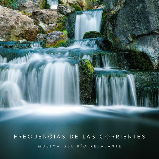 Релиз Frecuencias De Las Corrientes: Música Del Río Relajante