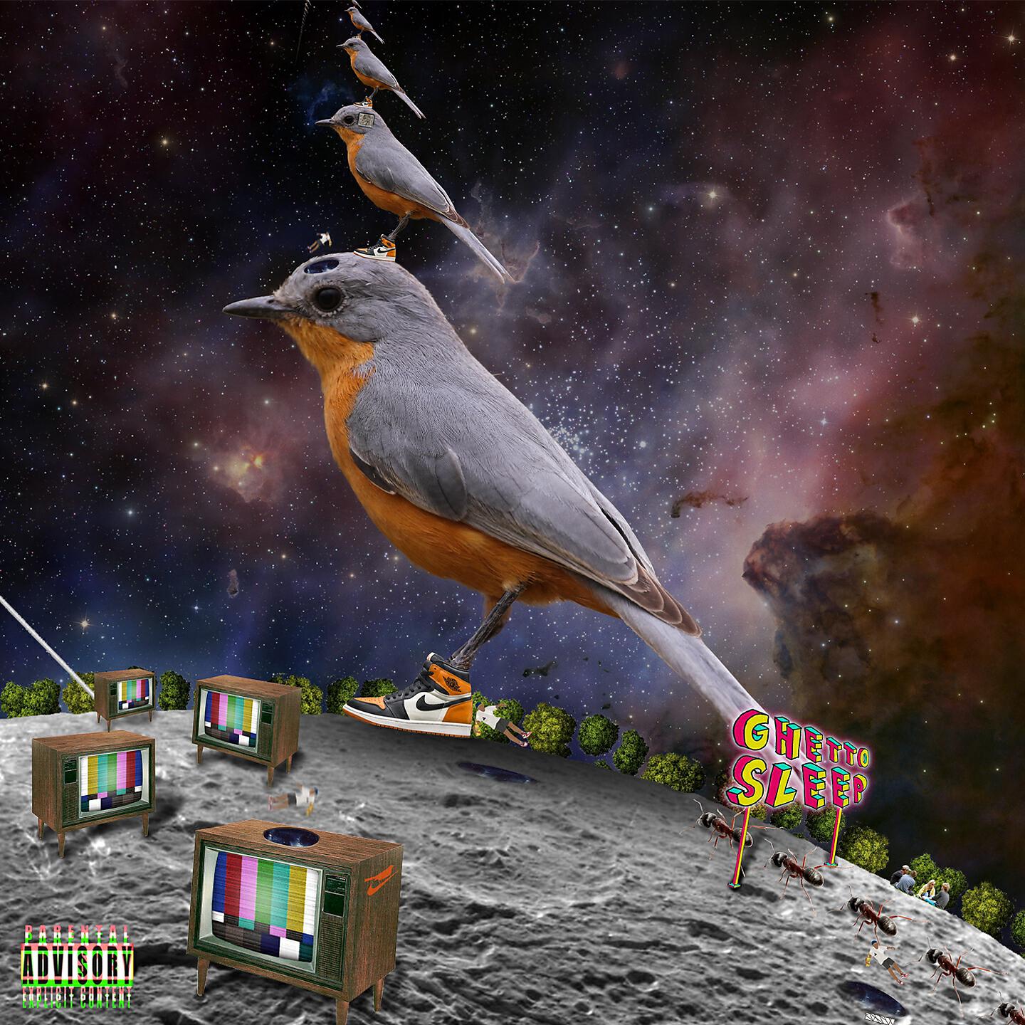 Релиз Nikebird