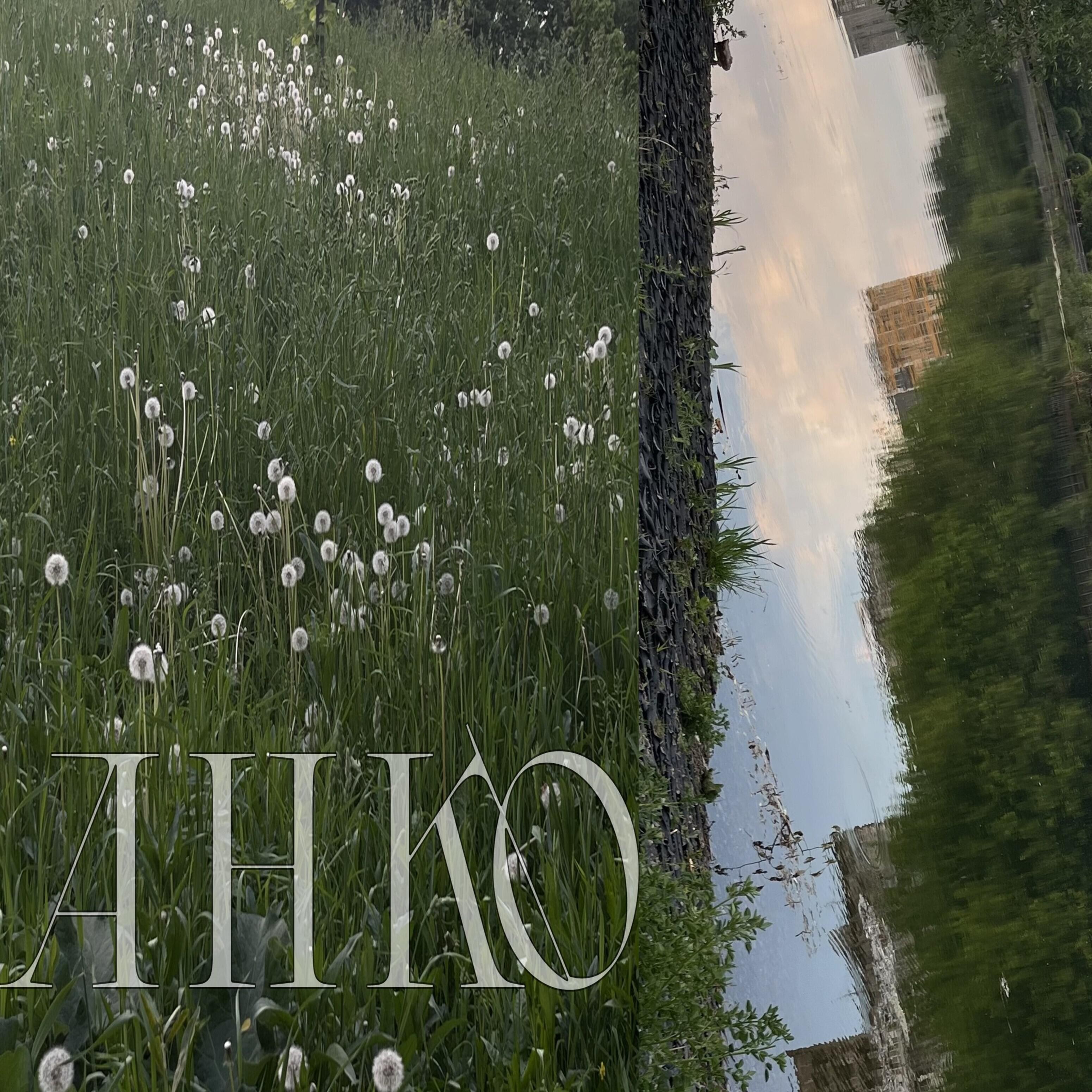 Релиз Одуванчики