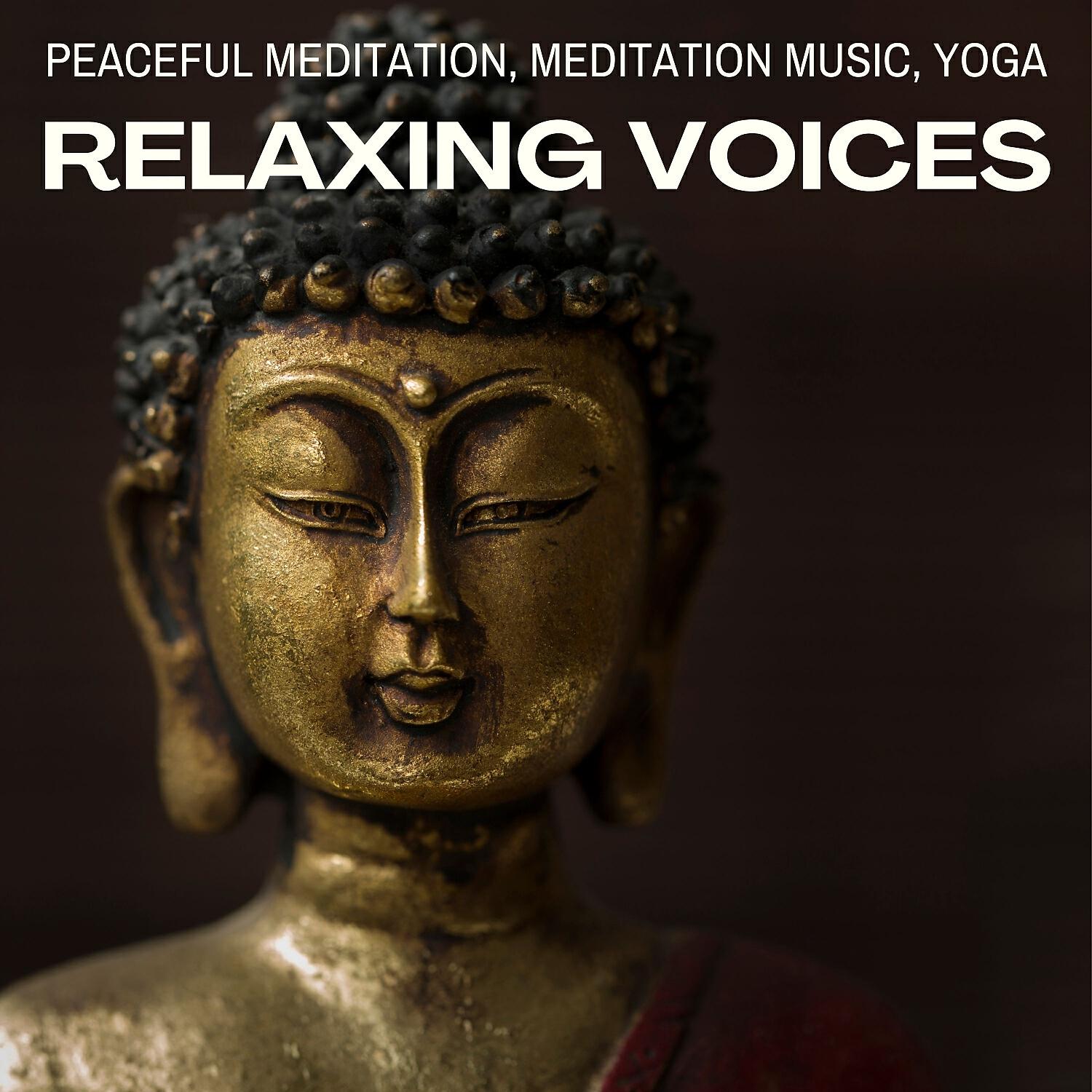 Релиз Relaxing Voices