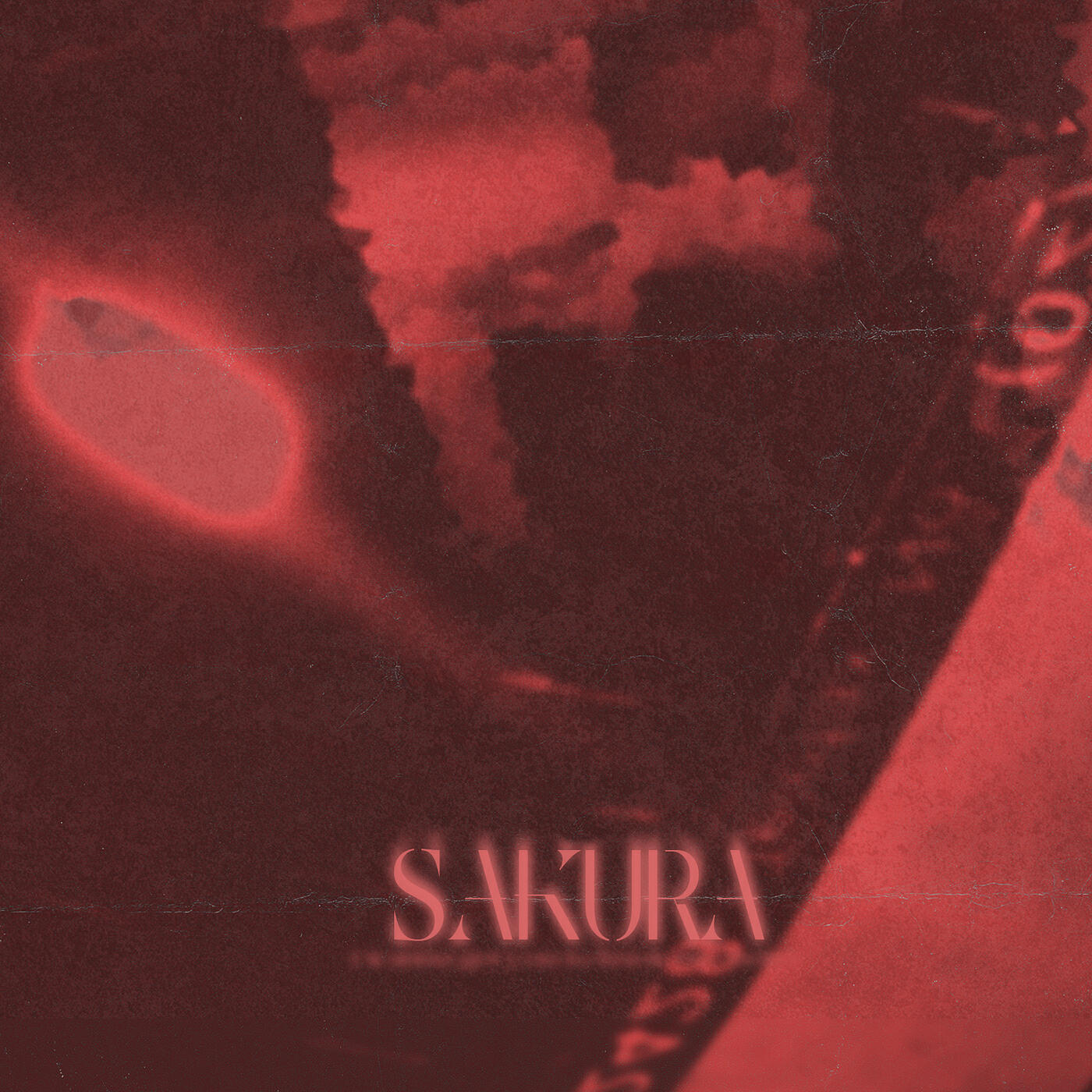 Релиз Sakura