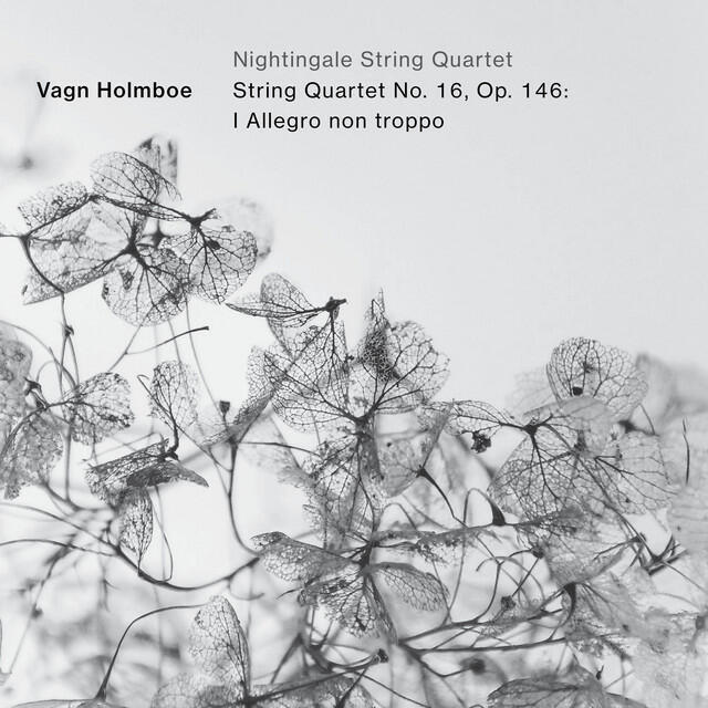 Релиз String Quartet No. 16, Op. 146: I. Allegro non troppo