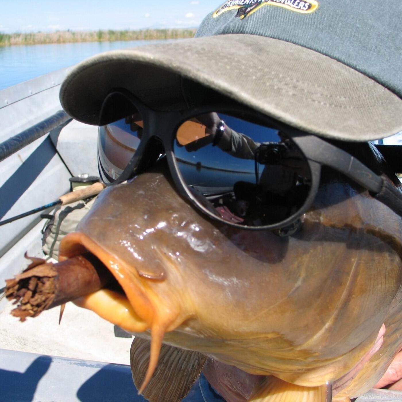 Релиз Рыбалка