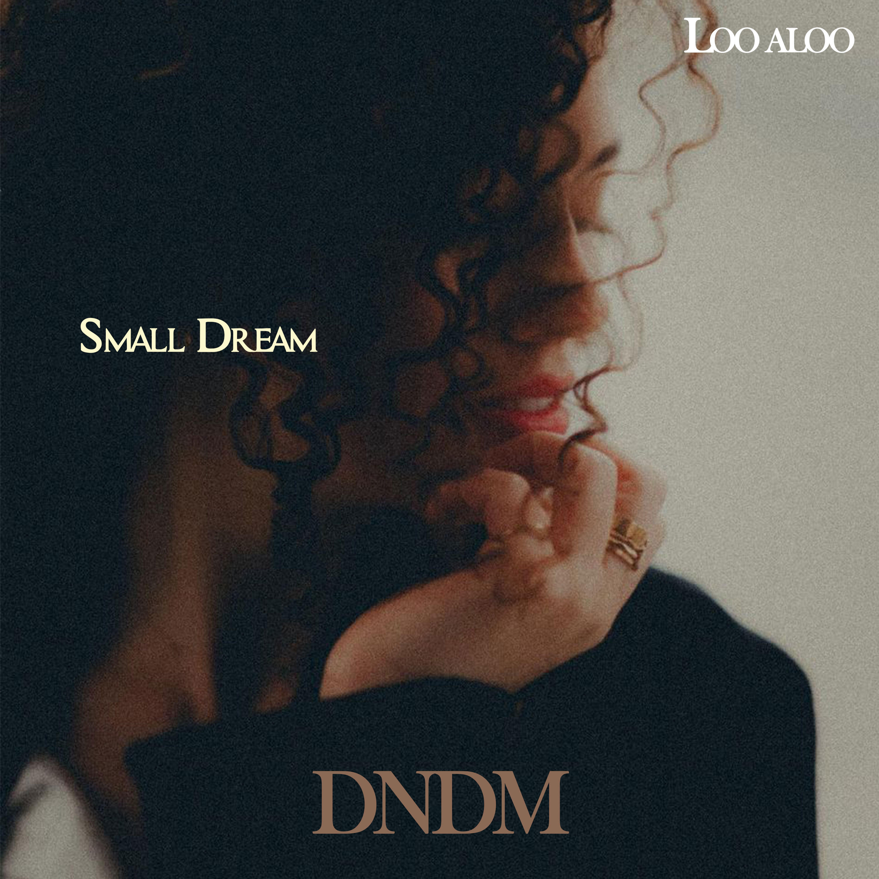 Постер альбома Small Dream