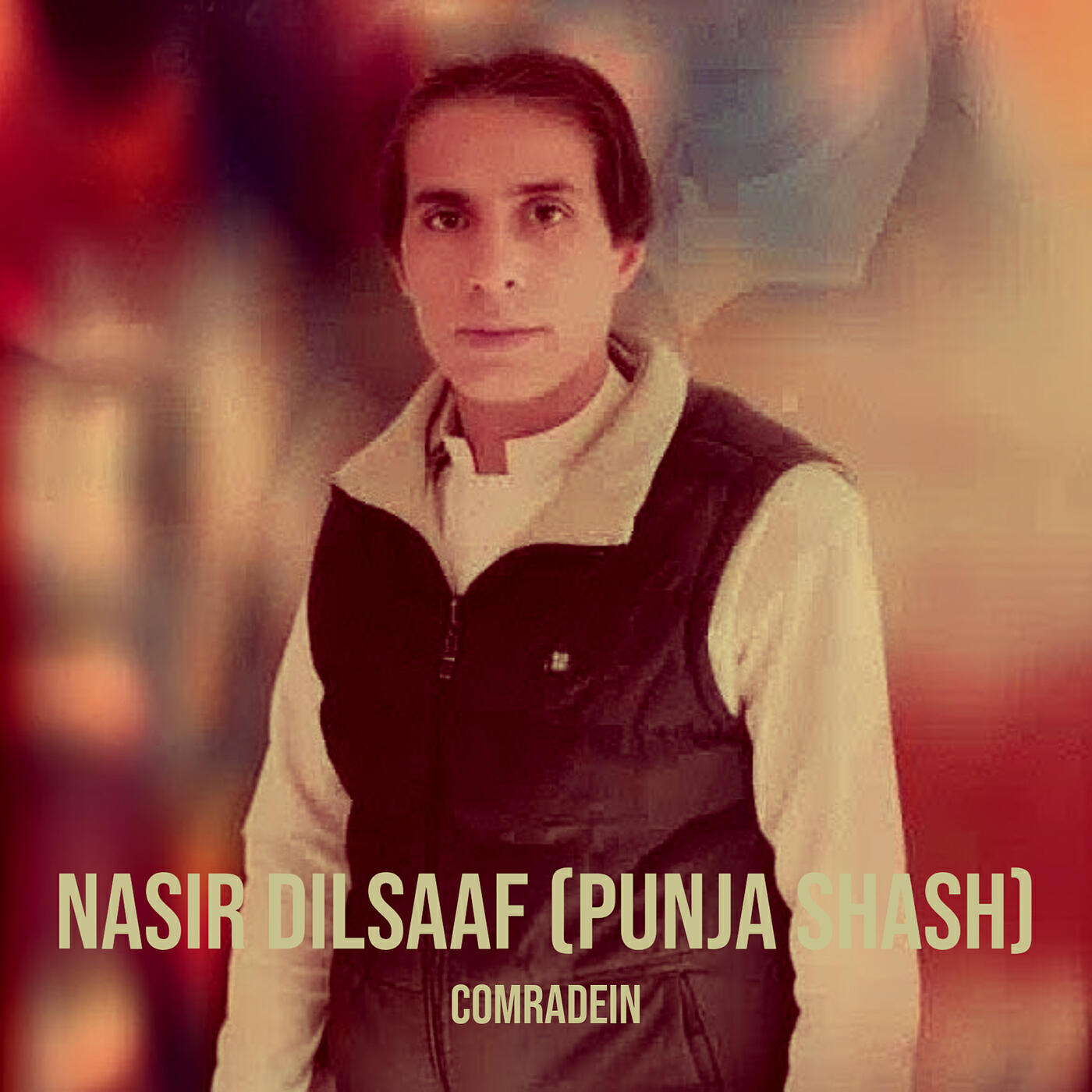 Релиз Nasir Dilsaaf (Punja Shash)