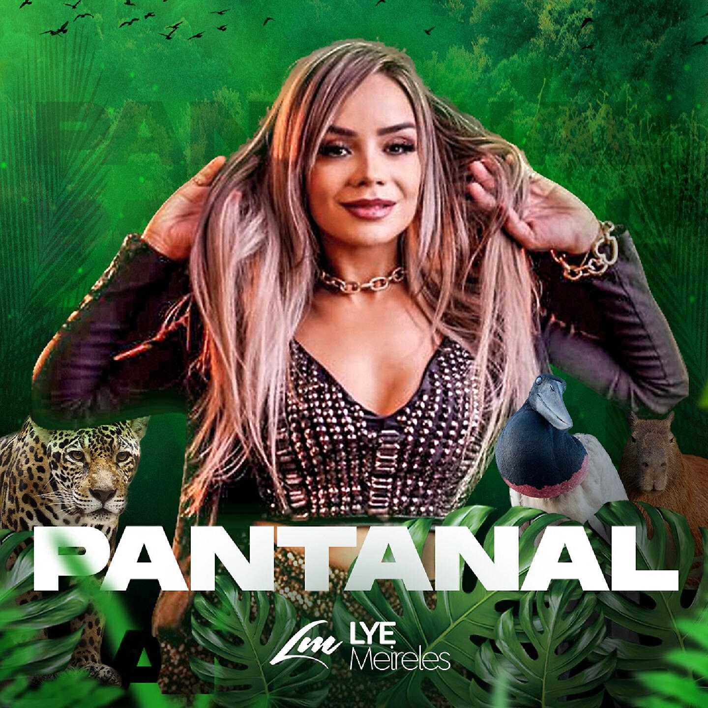 Релиз Pantanal