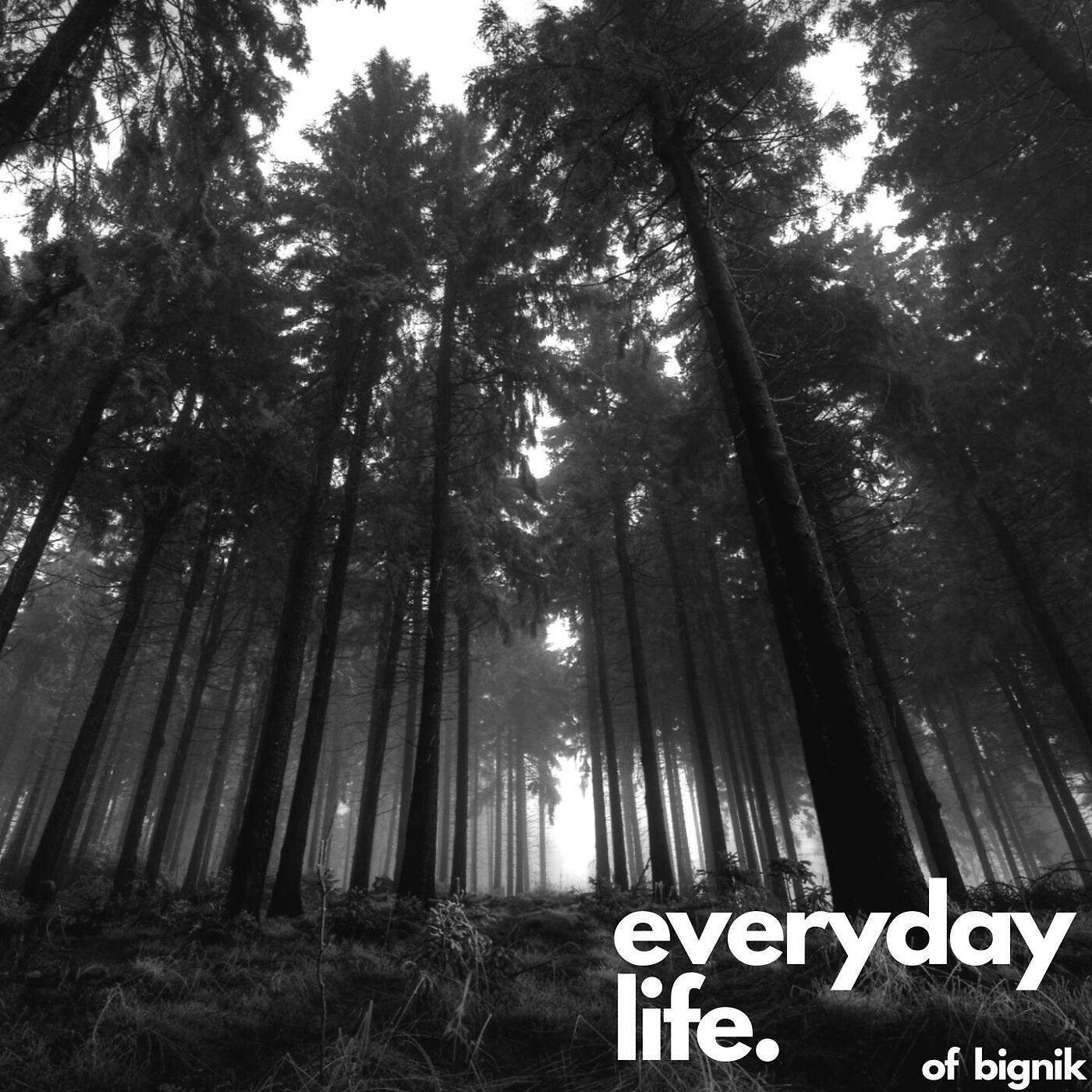 Релиз Everyday Life