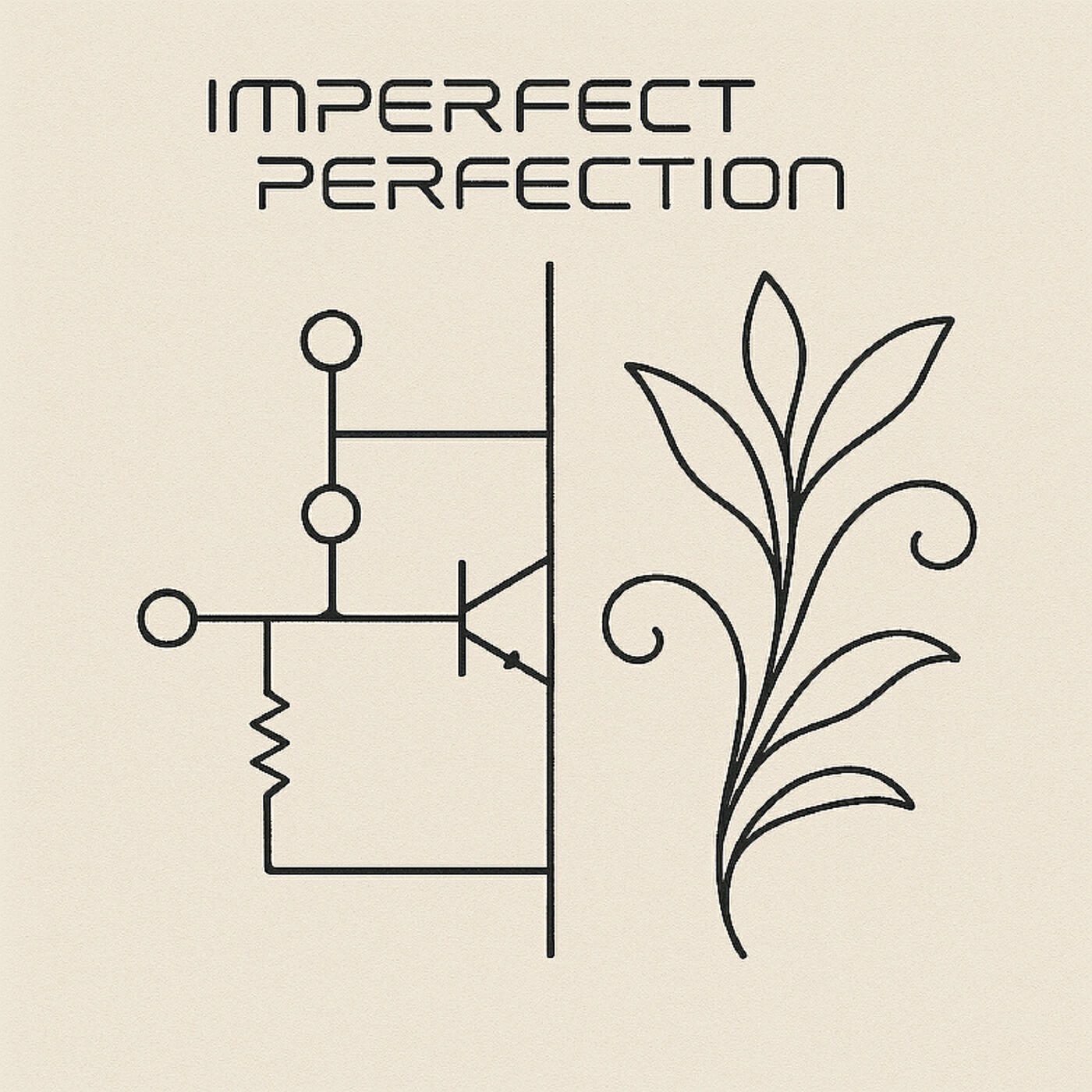 Релиз Imperfect Perfection