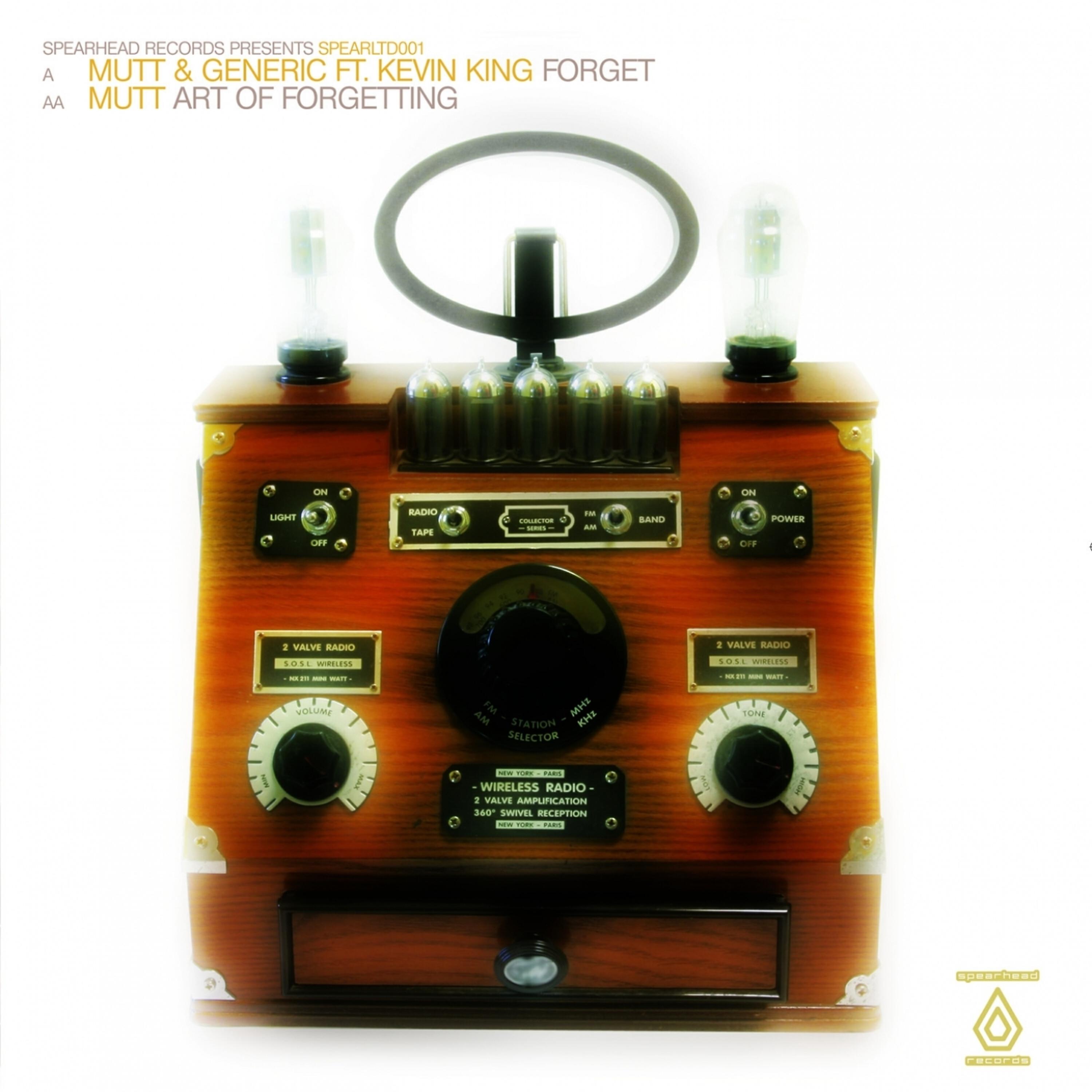 Постер альбома Forget / Art of Forgetting