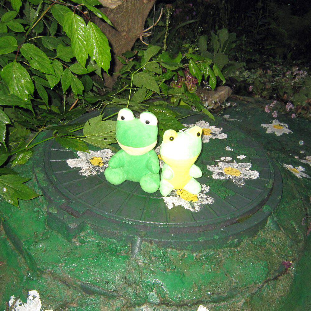 Релиз Froggy