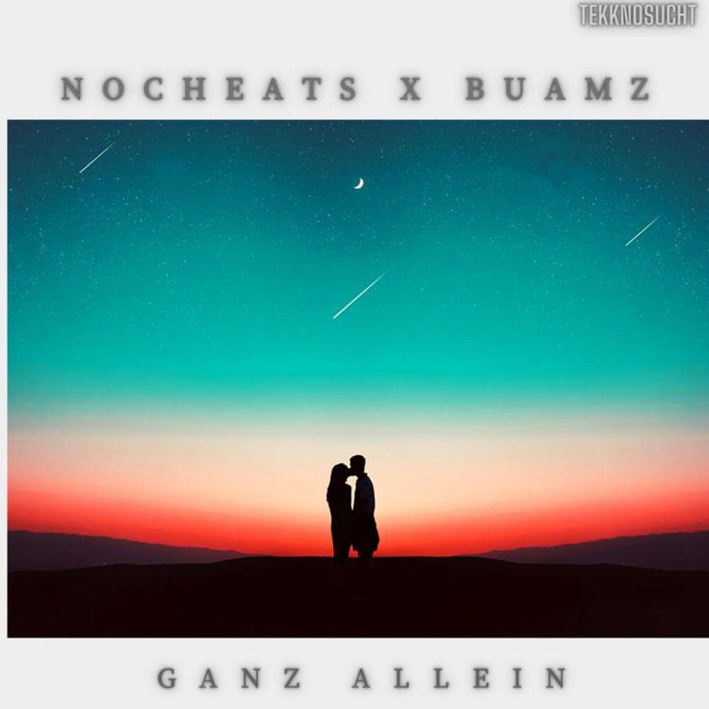 Релиз Ganz Allein