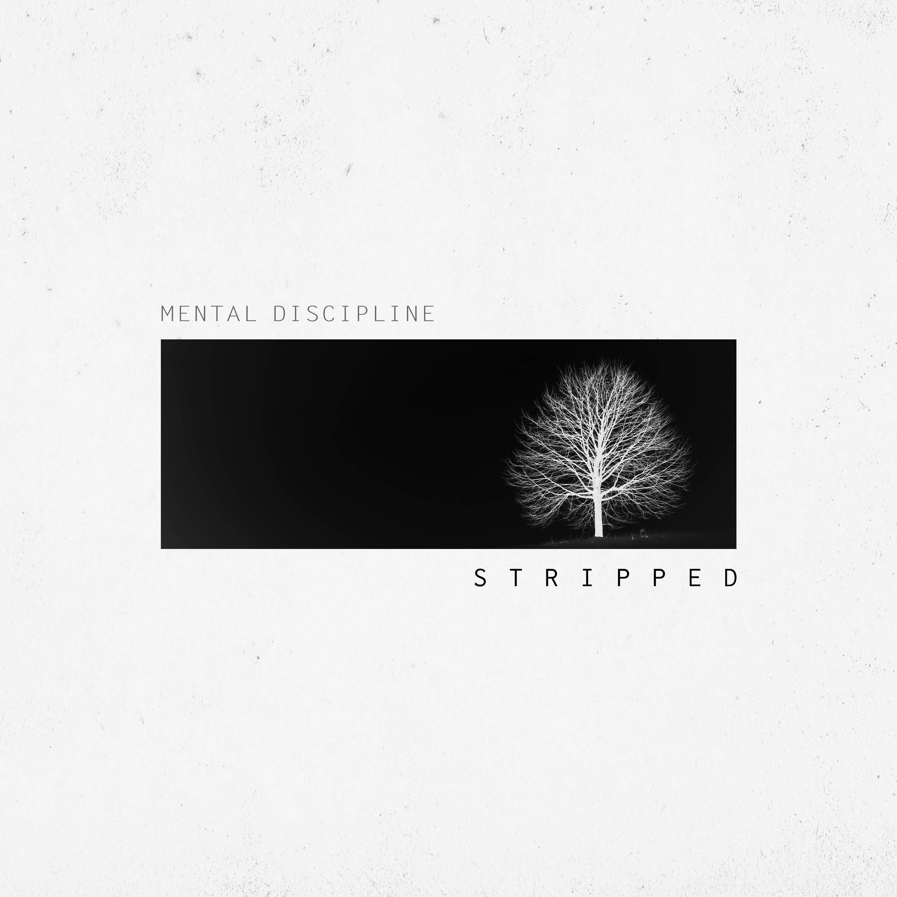 Релиз Stripped