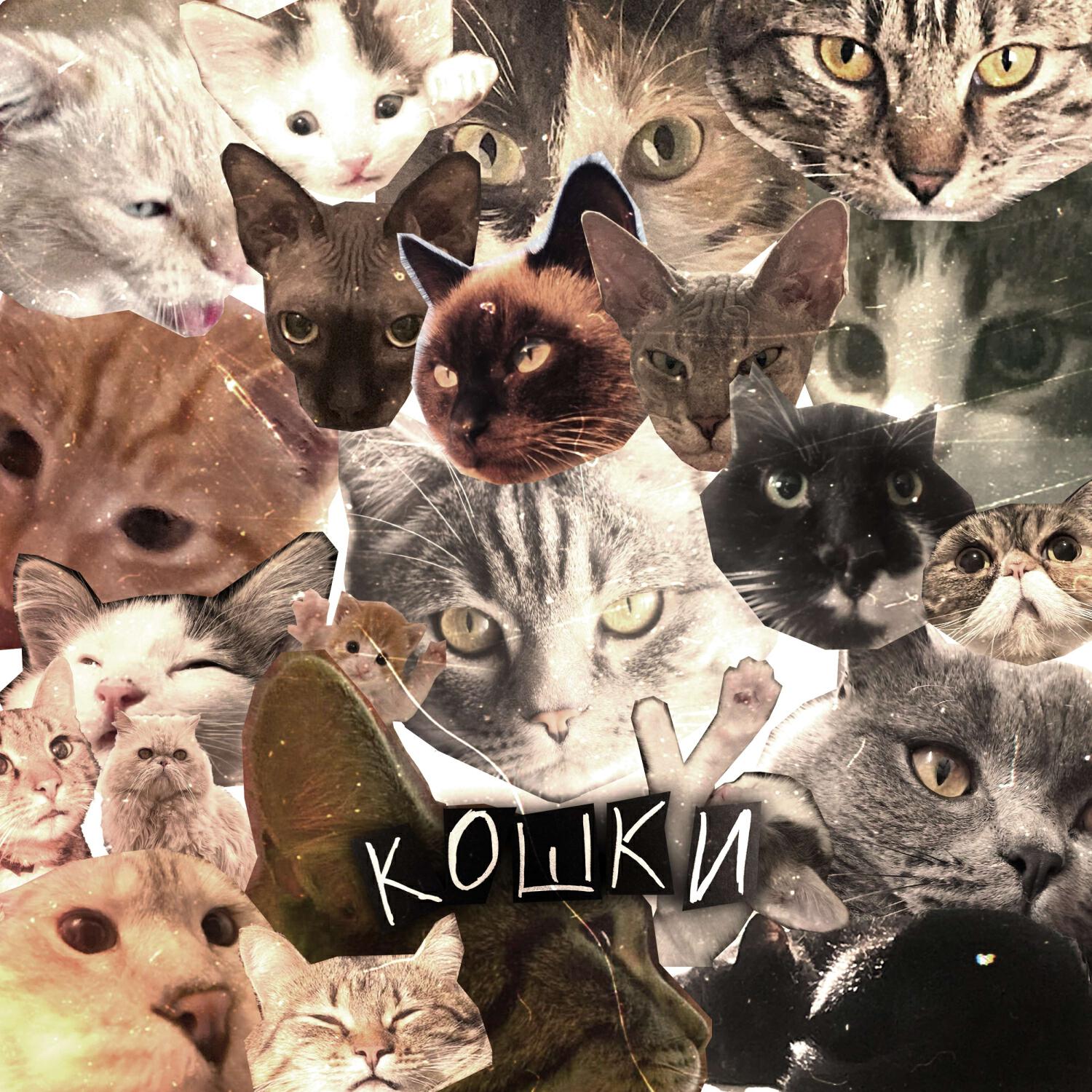 Релиз Кошки