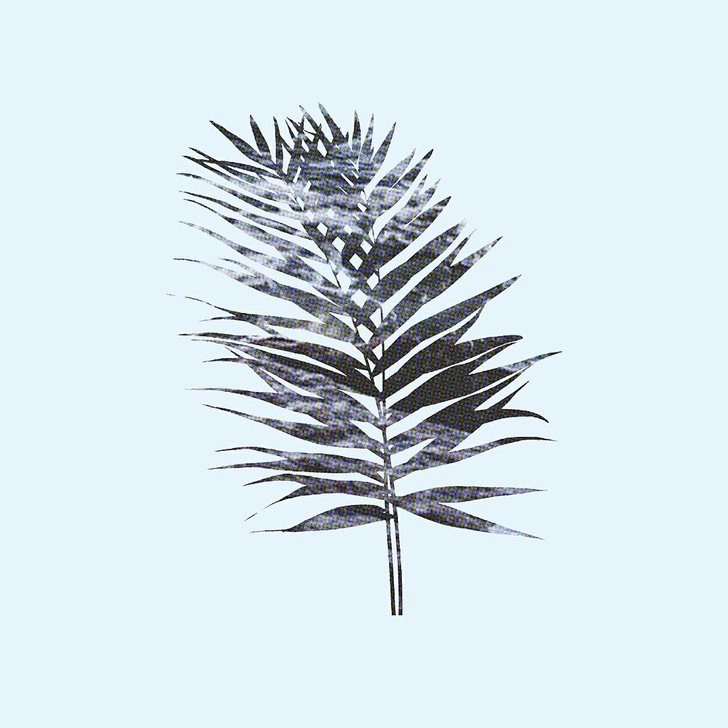 Релиз Morning Light on Cold Coffee
