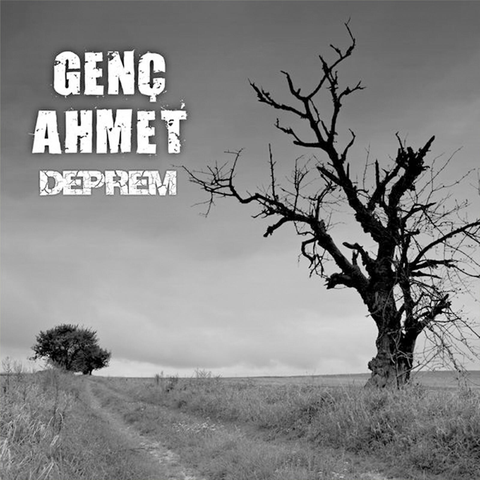 Genç Ahmet