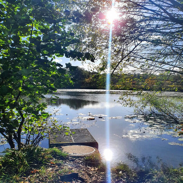 Релиз Loose Ends