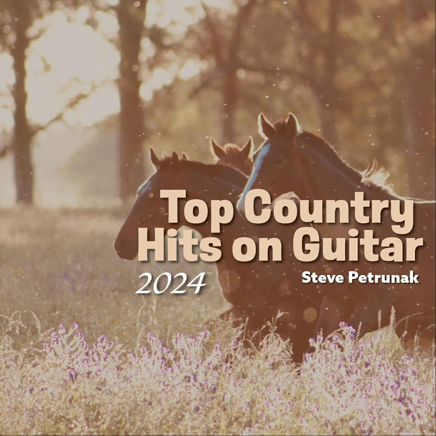 Релиз Top Country Hits on Guitar