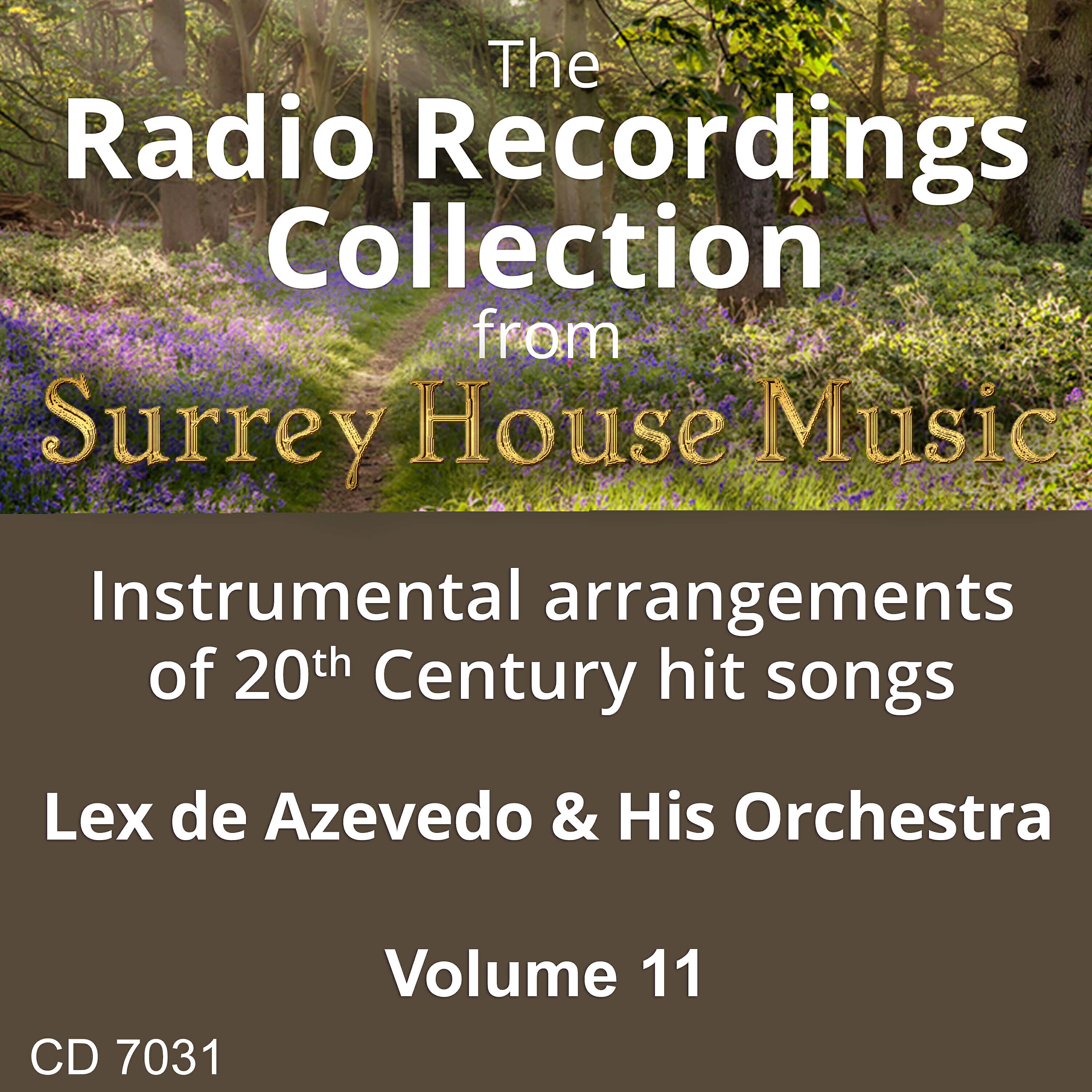 Релиз Lex de Azevedo & His Orchestra, Vol. 11