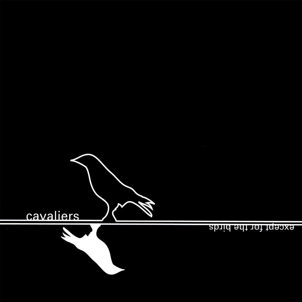 Релиз Except for the Birds